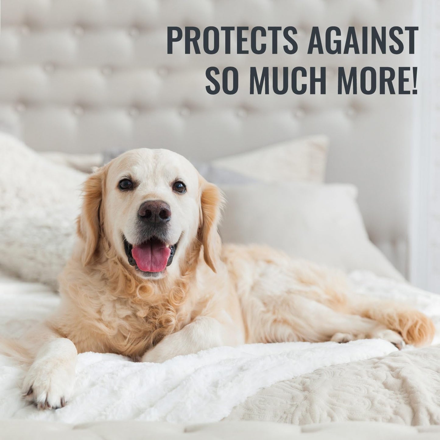 DMI Waterproof Mattress Protector, Mattress Pad, Waterproof Mattress Cover, Bed Pad and Bed Cover, Contoured Fitted Sheet Fit, King, Package May Vary (Pack of 24)
