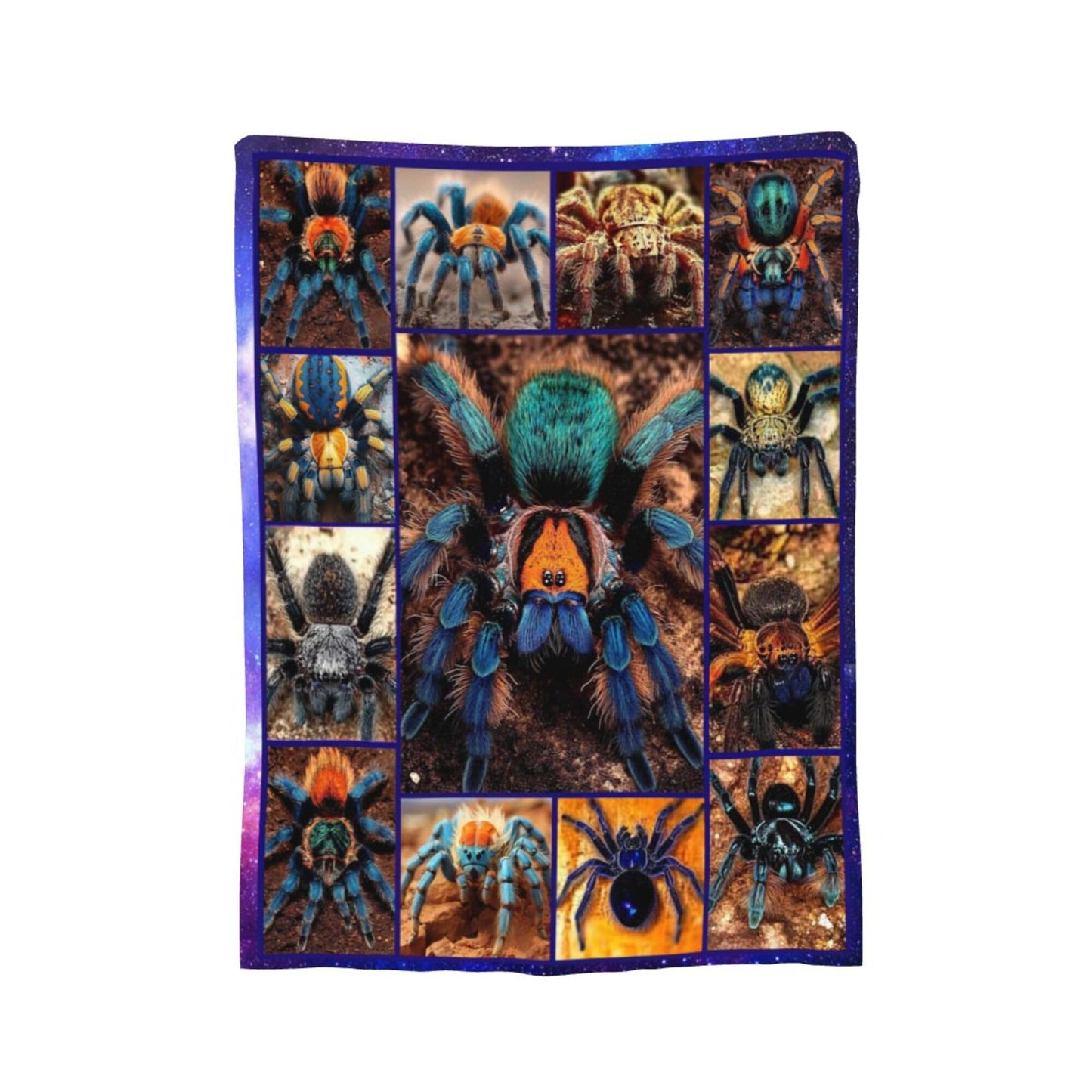 Spider Blanket Spider Decor Cozy Animal Throw Super Soft Plush Flannel Fleece Blanket Gift for Kids Adults Men Women Ultra Warm & Lightweight Flannel, 60"X50"