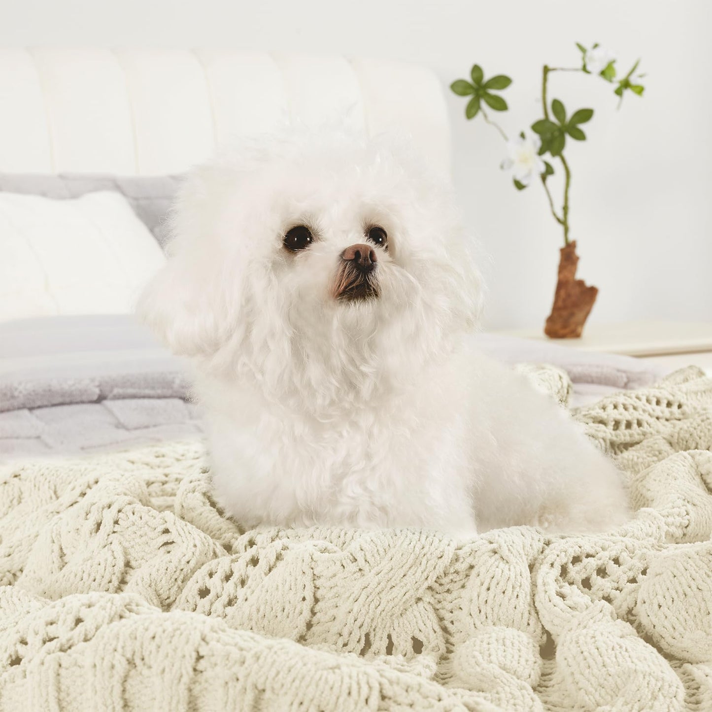 Amélie Home Chunky Knit Throw Blanket, Dual-Sided Soft Chenille Breathable Cable Knitted Blanket for Couch, Farmhouse Decorative Throw for Sofa & Chair, 50"x60", Ivory