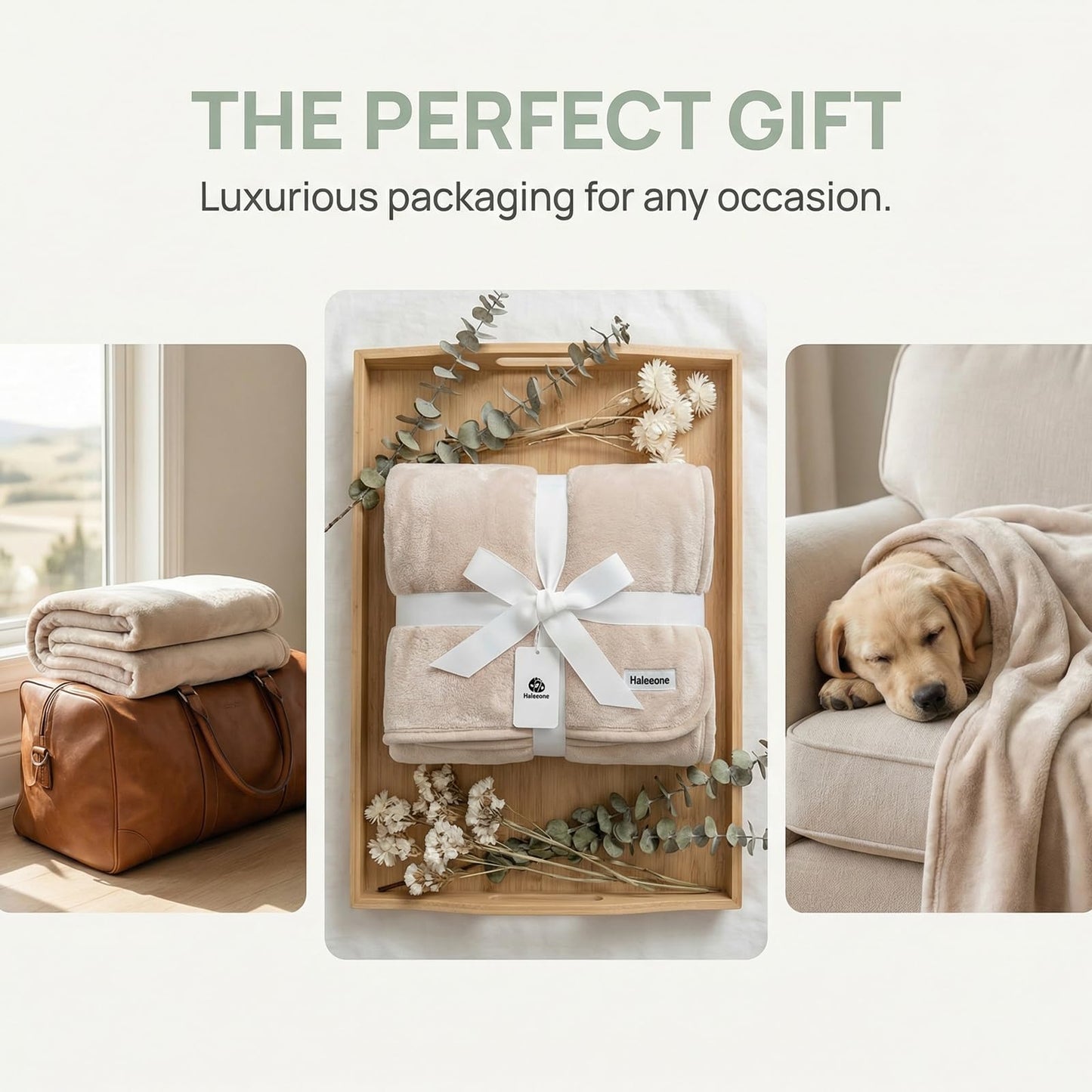 Fleece Throw Blanket 50" x 70" - Soft Cozy Microfiber Plush Blanket, Lightweight Warm Throw for Couch Bed Sofa Chair, All Season Use, Beige
