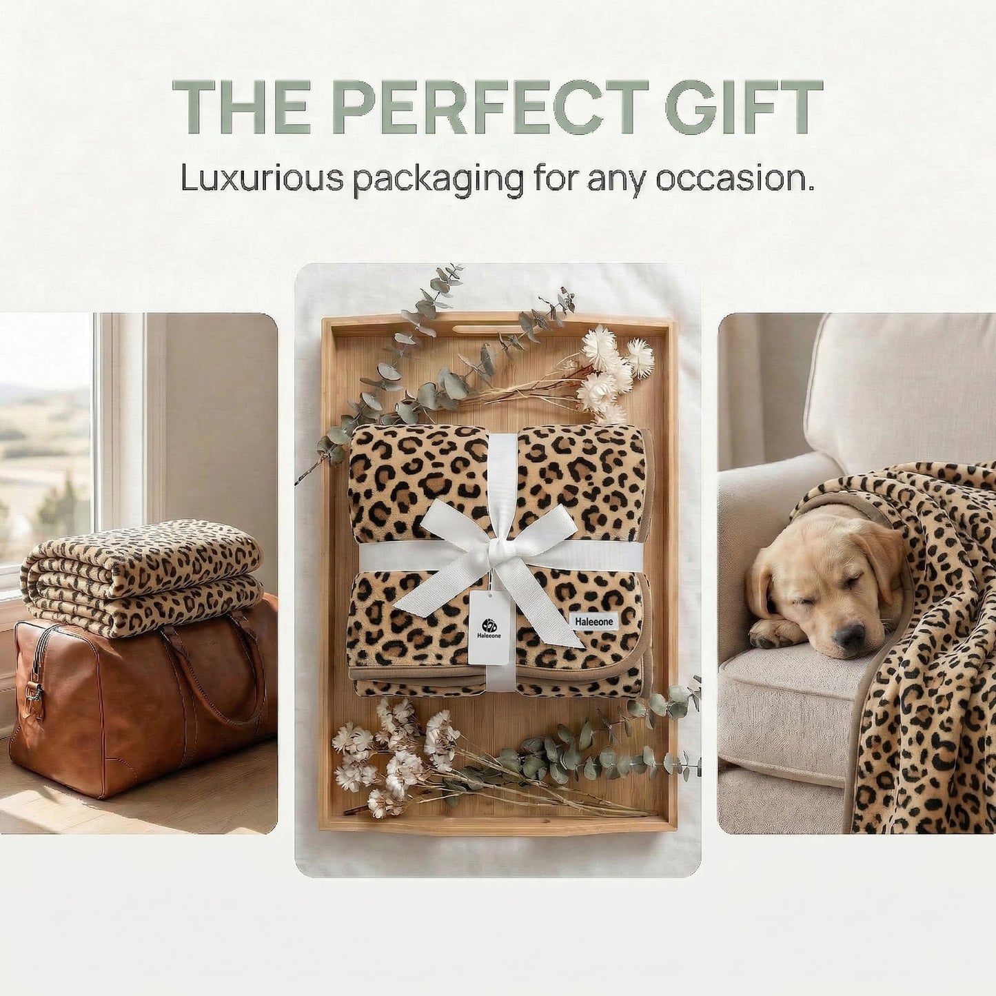 Fleece Throw Blanket 50" x 70" - Soft Cozy Microfiber Plush Blanket, Lightweight Warm Throw for Couch Bed Sofa Chair, All Season Use, Sand Leopard