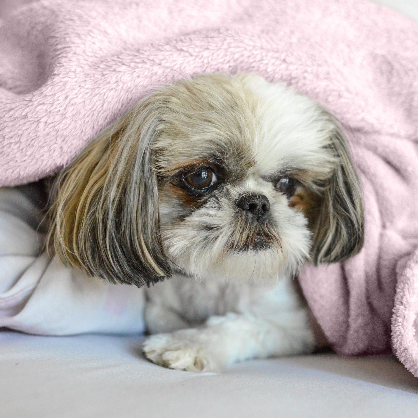 Throw Blanket for Couch - Lightweight Breathable Warm Cozy Soft Blanket for Sofa - Cradel Pink - 50x60 Inches