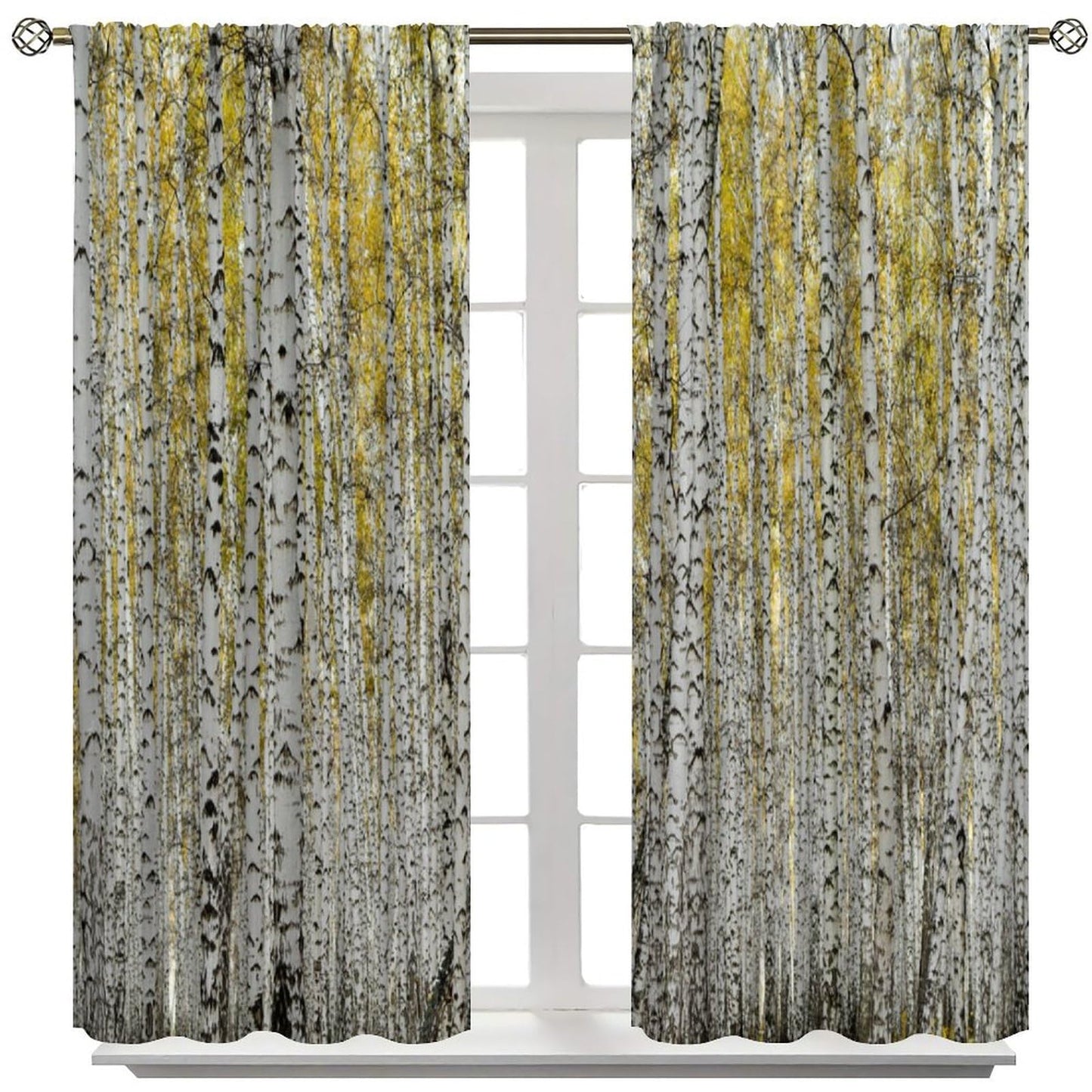 GoDazzling Fall Birch Trees Curtains, Autumn Maple Leaves Forest Wood Nature Scenery Landscape Rustic Farmhouse Window Drapes, for Living Room Bedroom 41" W X 45" L (No Blackout)