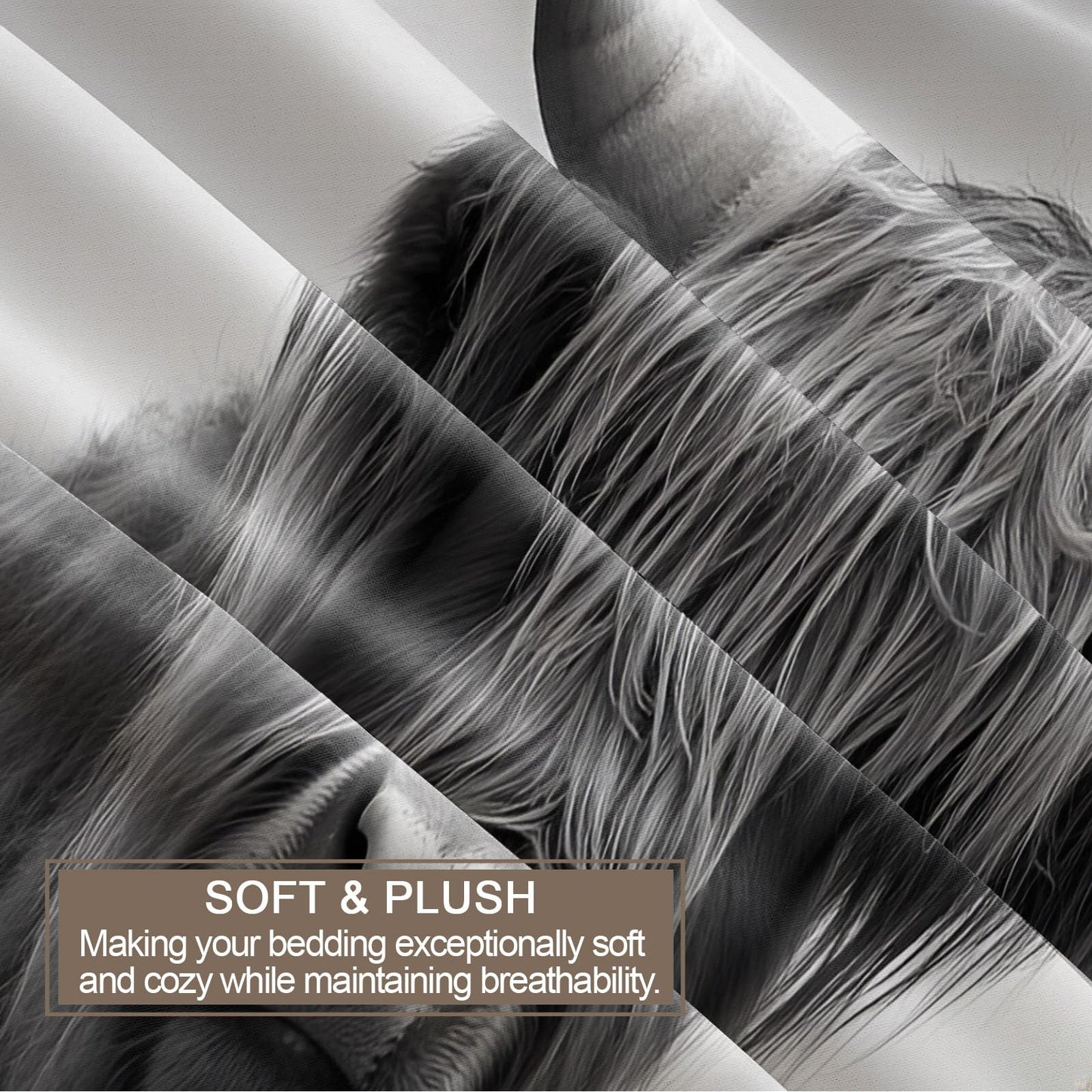 PAISUOQ Farmhouse Cow Bedding, Highland Cattle Duvet Cover Full, Western Animal Comforter Cover with Zipper Ties, 3 Pieces with 2 Pillowcases, Home Decor & Gifts