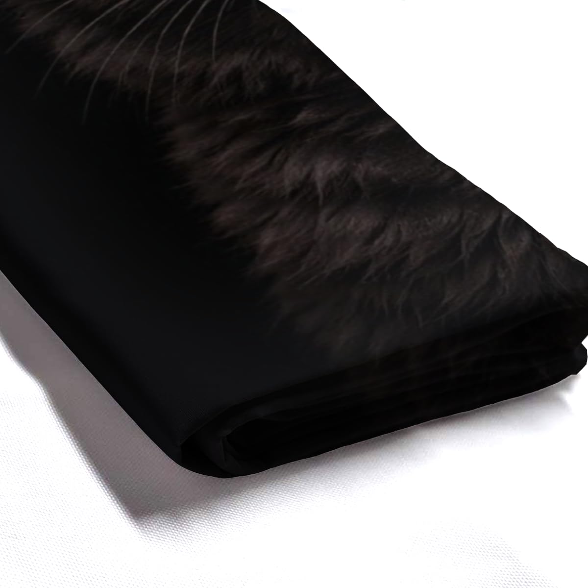 LFINKARTGOGO Black Cat Shower Curtain 72x72 Inch with 12 Hooks Funny Farm Animal Bathroom Decor Black Background Waterproof Washable Polyester Bath Curtain