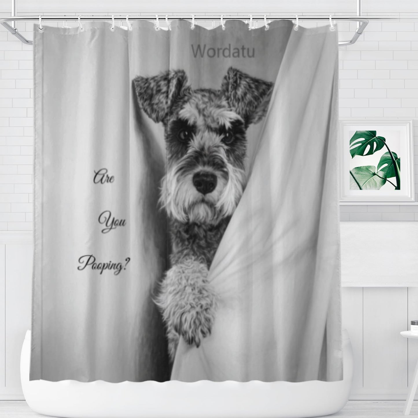 Wordatu Schnauzer Shower Curtain are You Pooping Decor Fabric Bathroom Curtains, Kids Children Rustic 72x72 Inch Black and White