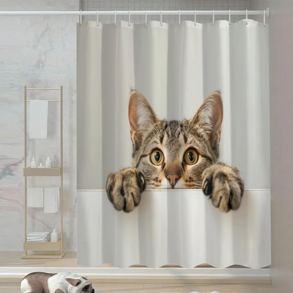 Ivolege Shower Curtain with Hooks, Tabby Cat Shower Curtain