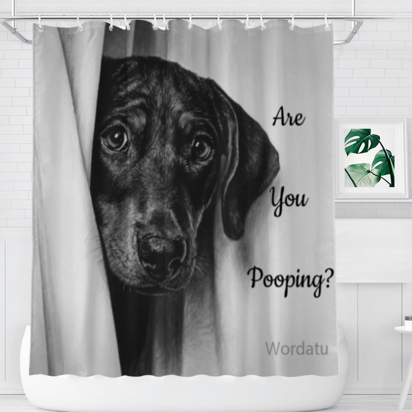 Wordatu Doberman Shower Curtain Funny are You Pooping Black and White Bath Curtain Bathroom Decor Animal Toilet Resistant Fabric with 12 Hooks 72x72