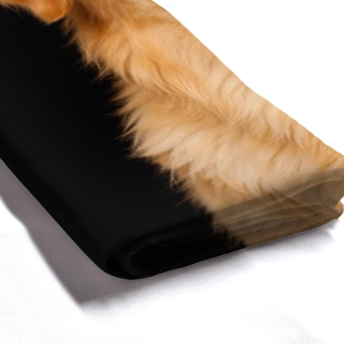 LFINKARTGOGO Golden Retriever Shower Curtain 72x72 Inch with 12 Hooks Funny Farm Animal Bathroom Decor Black Background Waterproof Washable Polyester Bath Curtain