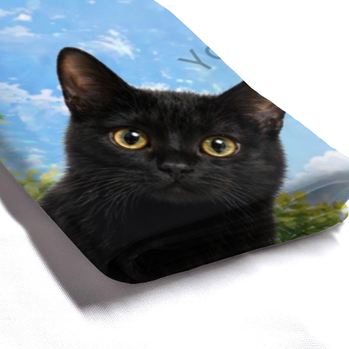 Youtoko Cute Black Cat Bathroom Decor Shower Curtain 72x72 Inch with 12 Hooks Blue Sky Nature Animal Waterproof Washable Polyester
