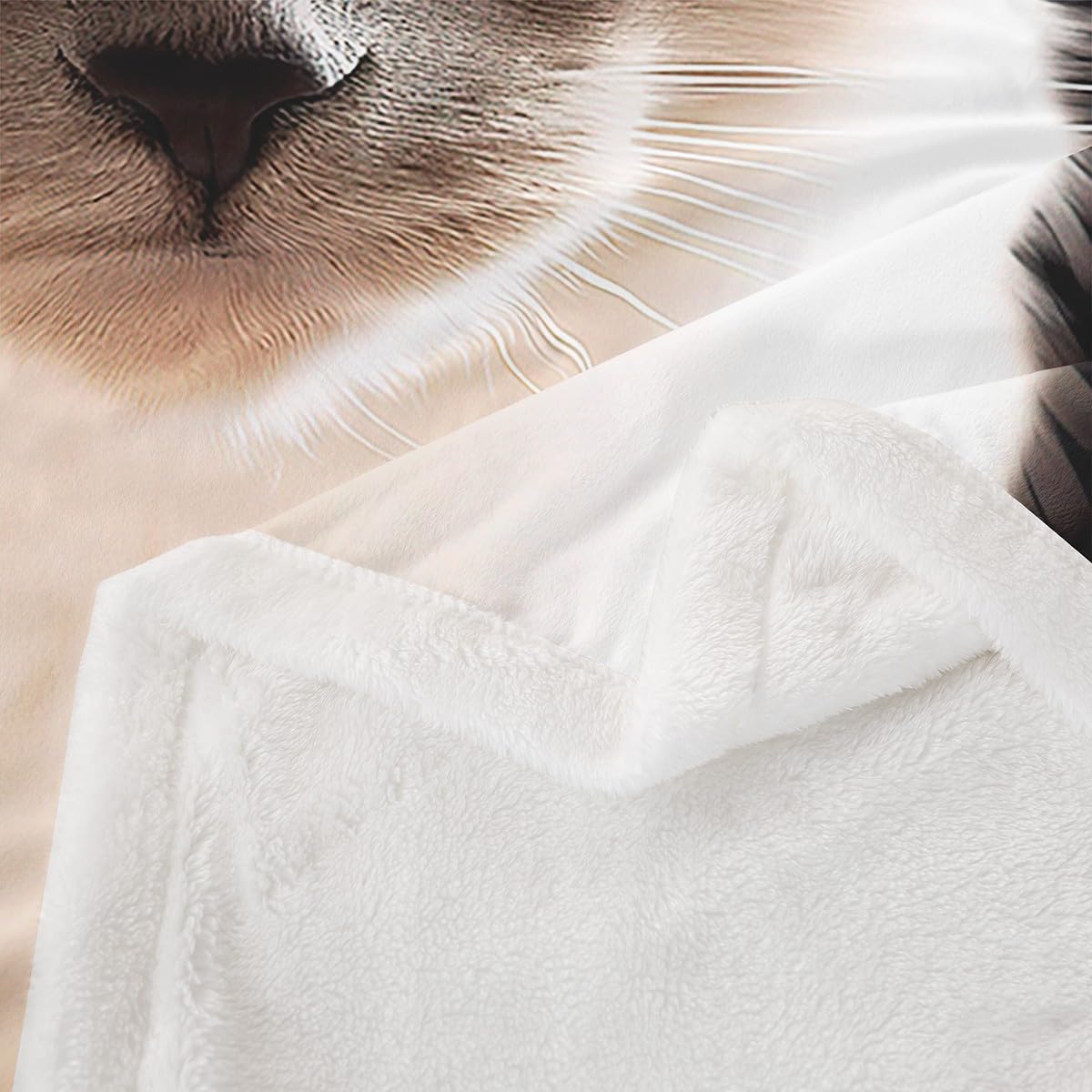 Feelyou Cute Cat Sherpa Blanket Siamese Cat Fleece Throw Blanket Girls Cartoon Pet Cat Plush Blanket Lightweight Microfiber Fuzzy Blanket for Sofa Bed Couch 50" x 60"