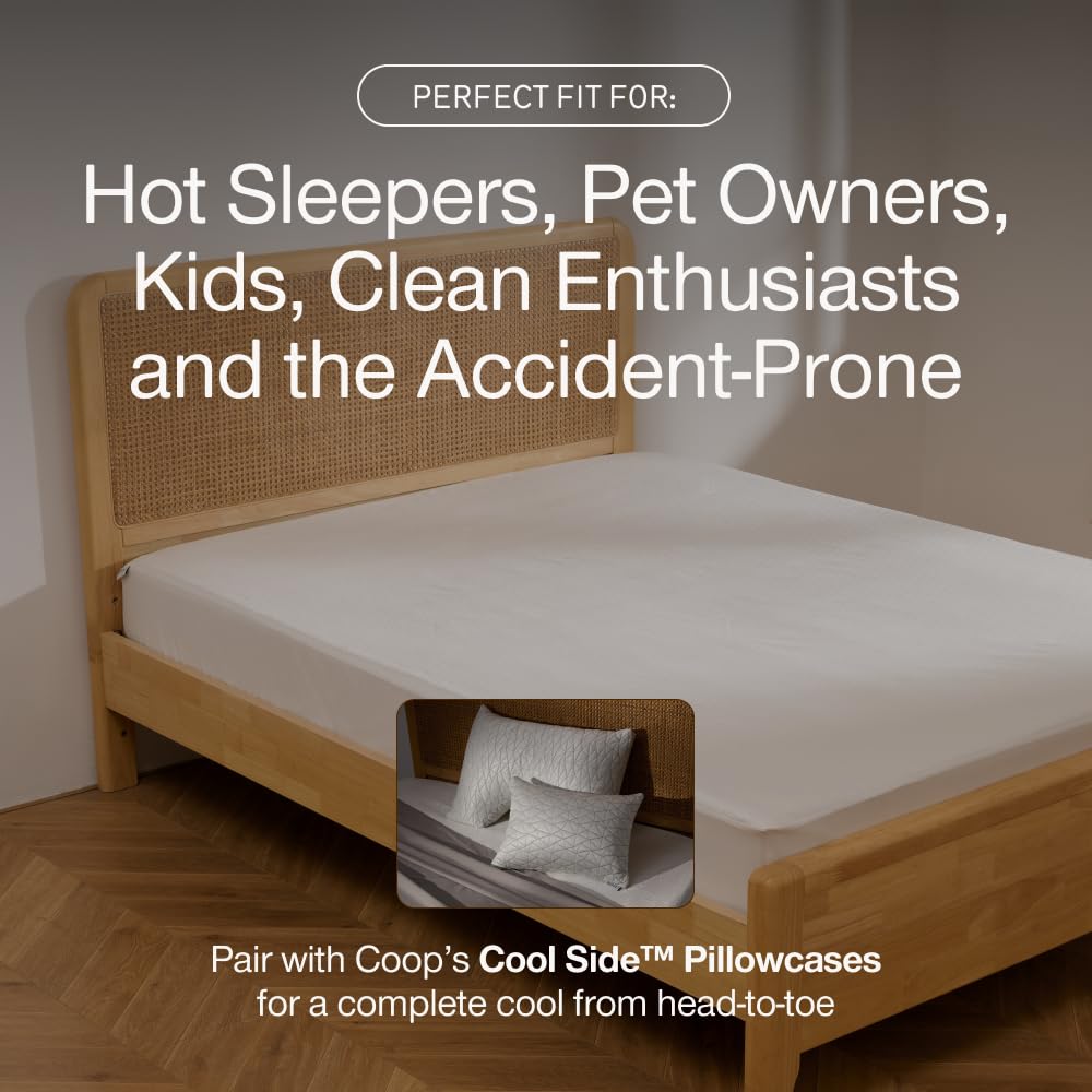 Coop Home Goods Ultra-Cool Waterproof Mattress Protector, Queen, Cooling Mattress Protector, Machine Washable Cooling Bed Cover, Whisper Quiet Waterproof Bed Cover, Queen (60x80)