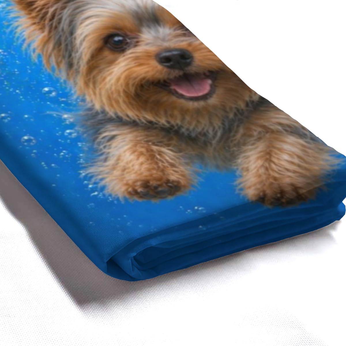LFINKARTGOGO Ocean Yorkshire Terrier Shower Curtain 72x72 with 12 Hooks Underwater Animal Dolphin Waterproof Washable Polyester Bath Curtain for Home Hotel Decor
