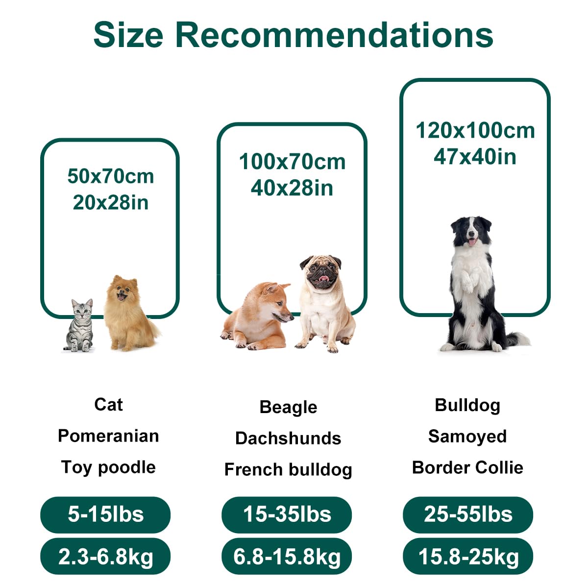 Onarway Dog Blanket Washable for Puppy: 4 Packs Dog Blankets 40”x28” - Fluffy Soft Small Throw for Cat Puppy Kitten Dogs - Fleece Pet Blankets for Bed Sofa Car and Indoor - Grey and Khaki
