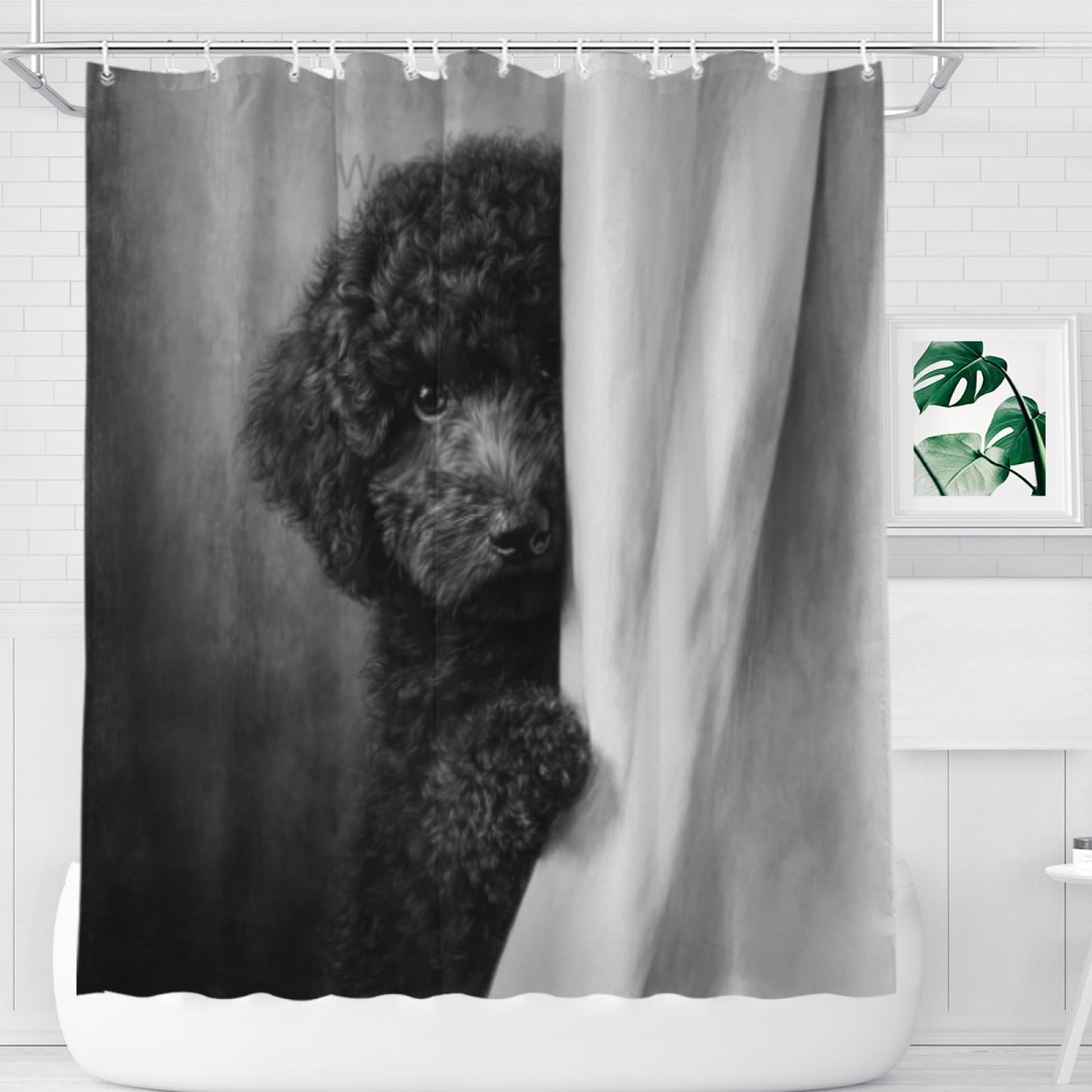 Wordatu Poodle Shower Curtain Funny are You Pooping Black and White Bath Curtain Bathroom Decor Animal Toilet Decor Water Resistant Fabric with 12 Hooks 72x72