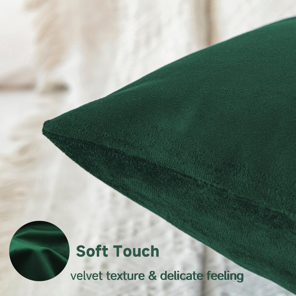 QUORGVES Dark Green Velvet Throw Pillow Covers 18x18 Inch Set of 2