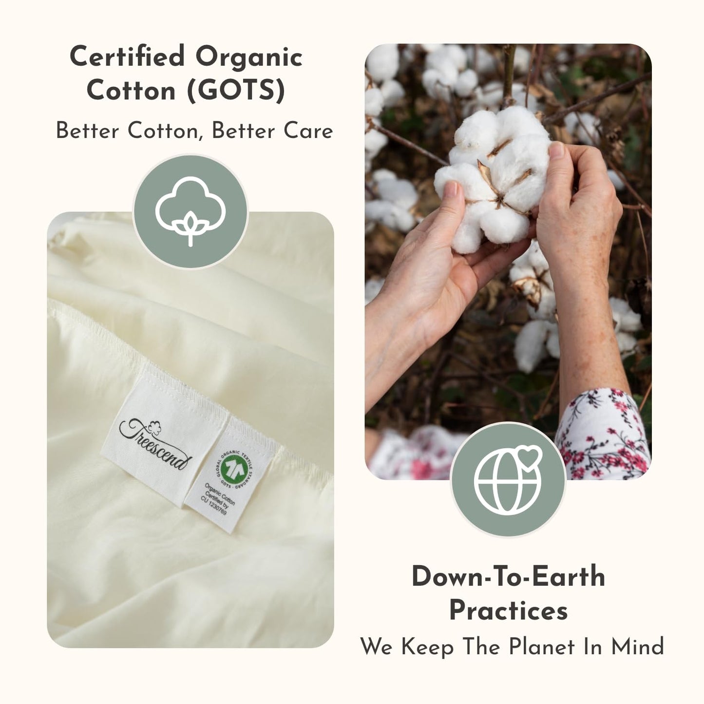 100% Cotton Organic Mattress Protector | Breathable & Noiseless GOTS Organic Mattress Pad with Premium 300GSM Durability | Machine Washable Quilted Bed Protector with Deep Pocket (Ivory, Twin)
