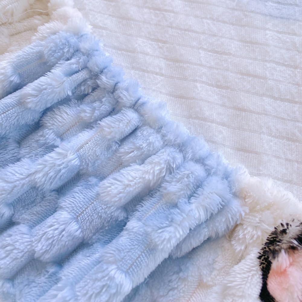 ZIQINPSQ Cozy Fleece Fitted Sheet Full Size - Ultra Soft Fuzzy Bed Sheets for Winter, Deep Pocket 15'' Velvet Plush Bottom Sheet Only (Anti-Static & Warm), Bear