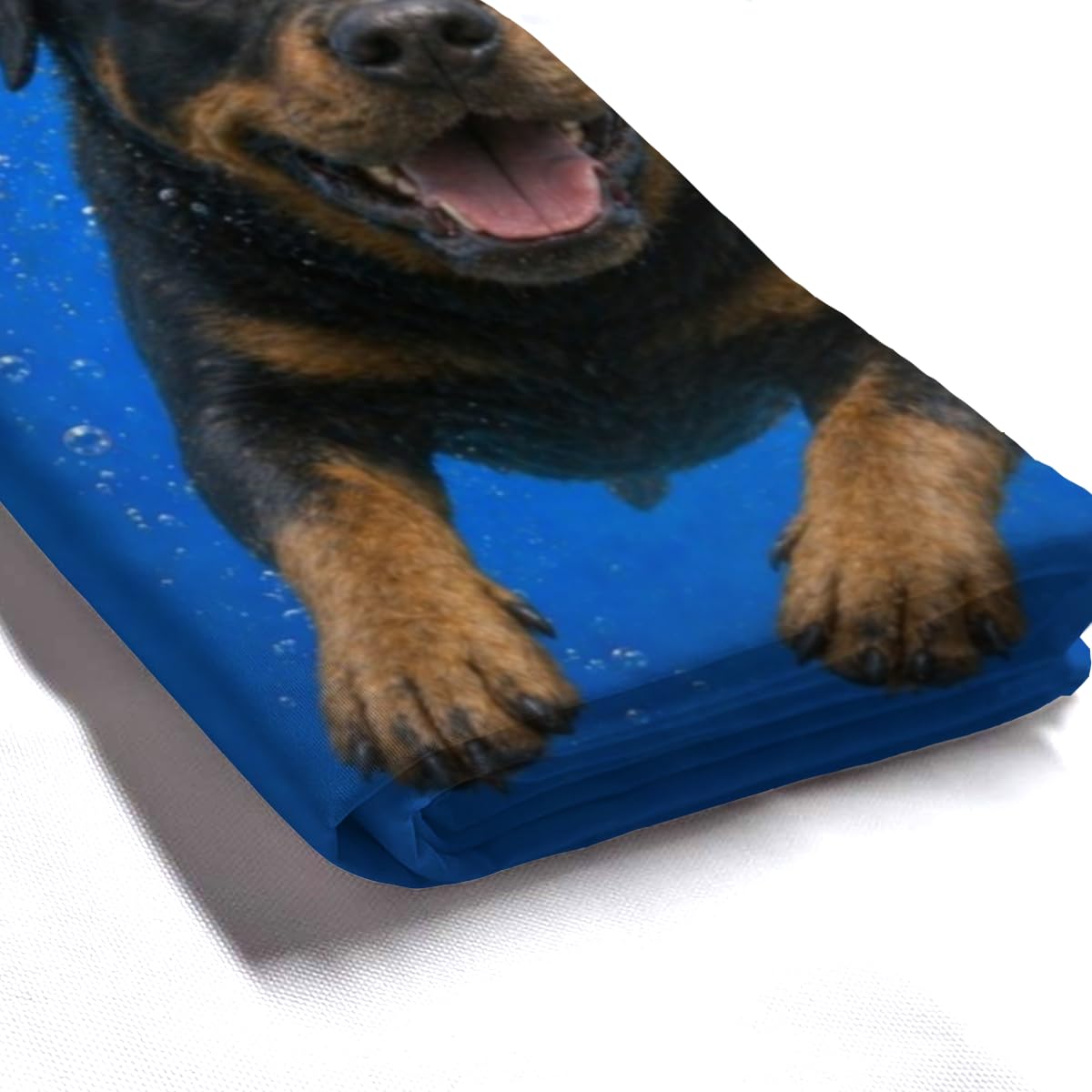 LFINKARTGOGO Ocean Rottweiler Shower Curtain 72x72 with 12 Hooks Underwater Animal Dolphin Waterproof Washable Polyester Bath Curtain for Home Hotel Decor