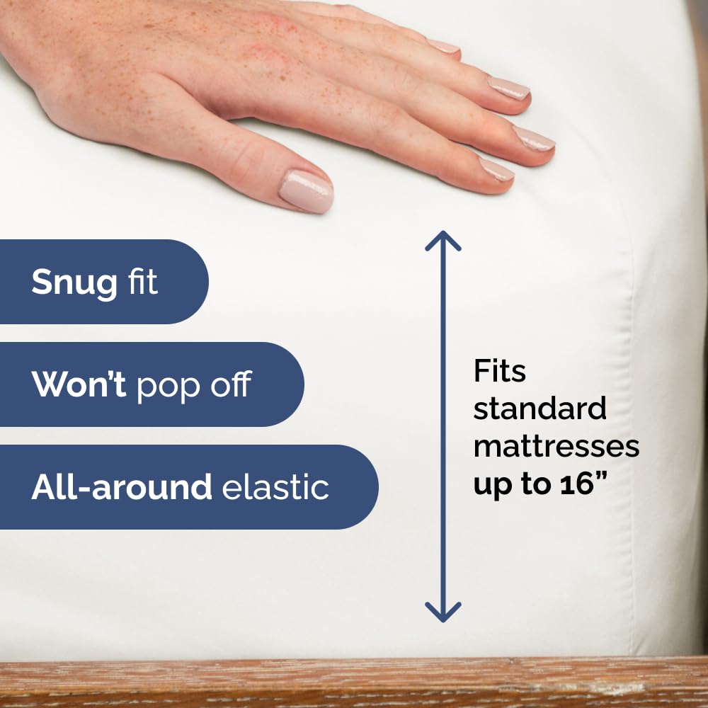 Queen Fitted Bed Sheet - Bottom Single Fitted Sheet Only - Ultra-Soft Hotel Luxury Bedding w/ 8-16 Inch Deep Pockets - Breathable & Wrinkle Free - Easy-Care, Fade & Shrink Resistant - Antique White
