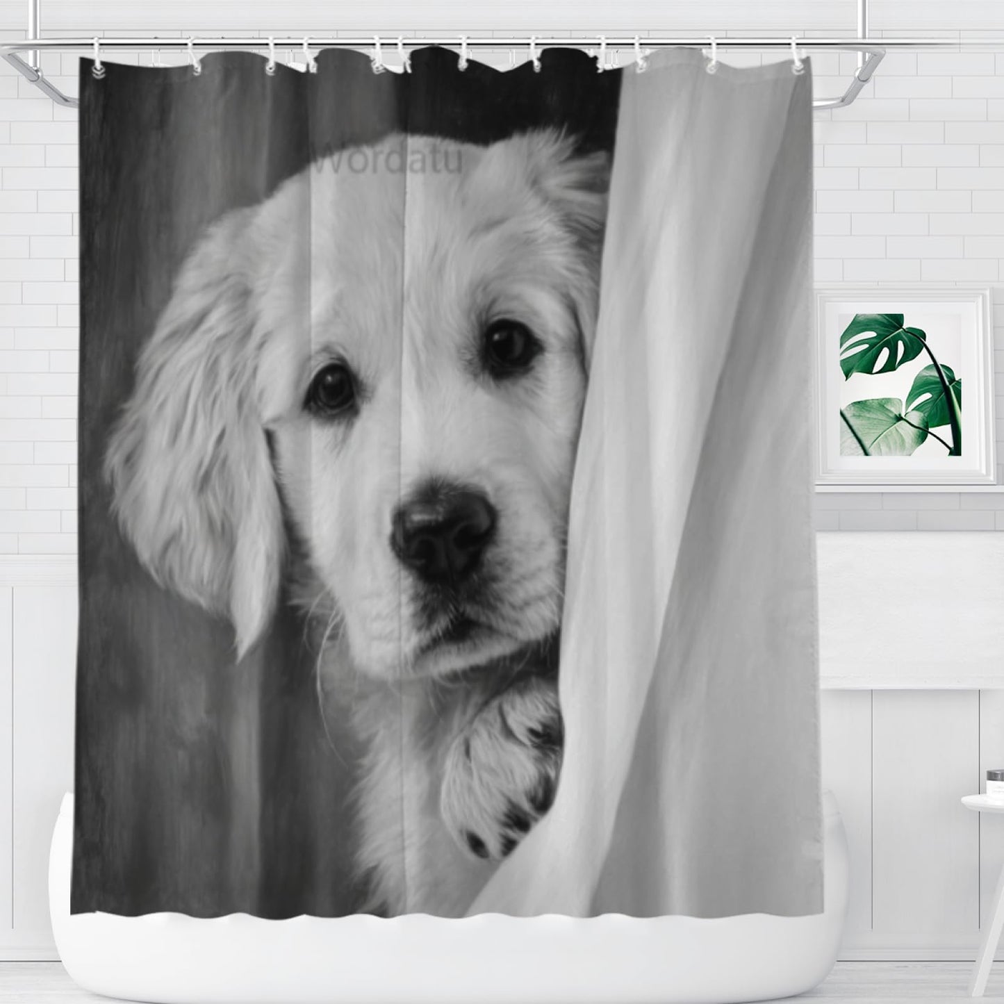 Wordatu Golden Retriever Shower Curtain Funny are You Pooping Black and White Bath Curtain Bathroom Decor Animal Toilet Decor Water Resistant Fabric with 12 Hooks 72x72