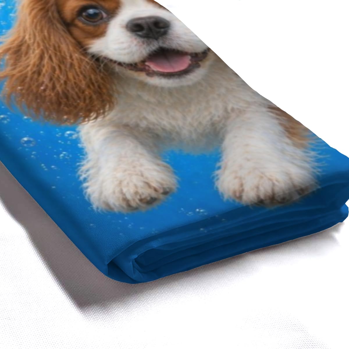 LFINKARTGOGO Ocean Cavalier King Charles Spaniel Shower Curtain 72x72 with 12 Hooks Underwater Animal Dolphin Waterproof Washable Polyester Bath Curtain for Home Hotel Decor