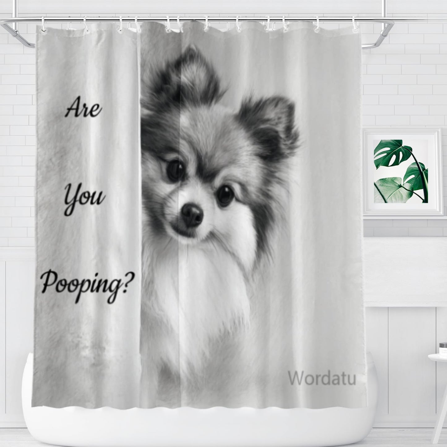 Wordatu Pomeranian Shower Curtain Bathroom Set 72x72 Inches are You Pooping Bath Animal Bath Animal Pet Dog Art Home Decor 12 Hooks
