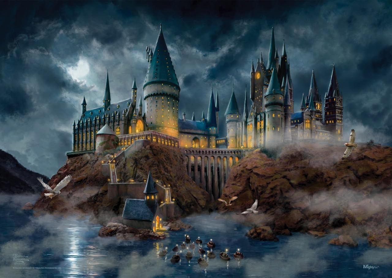 MIGHTYPRINT Harry Potter – Hogwarts Castle – Durable 24” x 17 Wall Art – NOT Made of Paper – Officially Licensed Collectible MP24170997