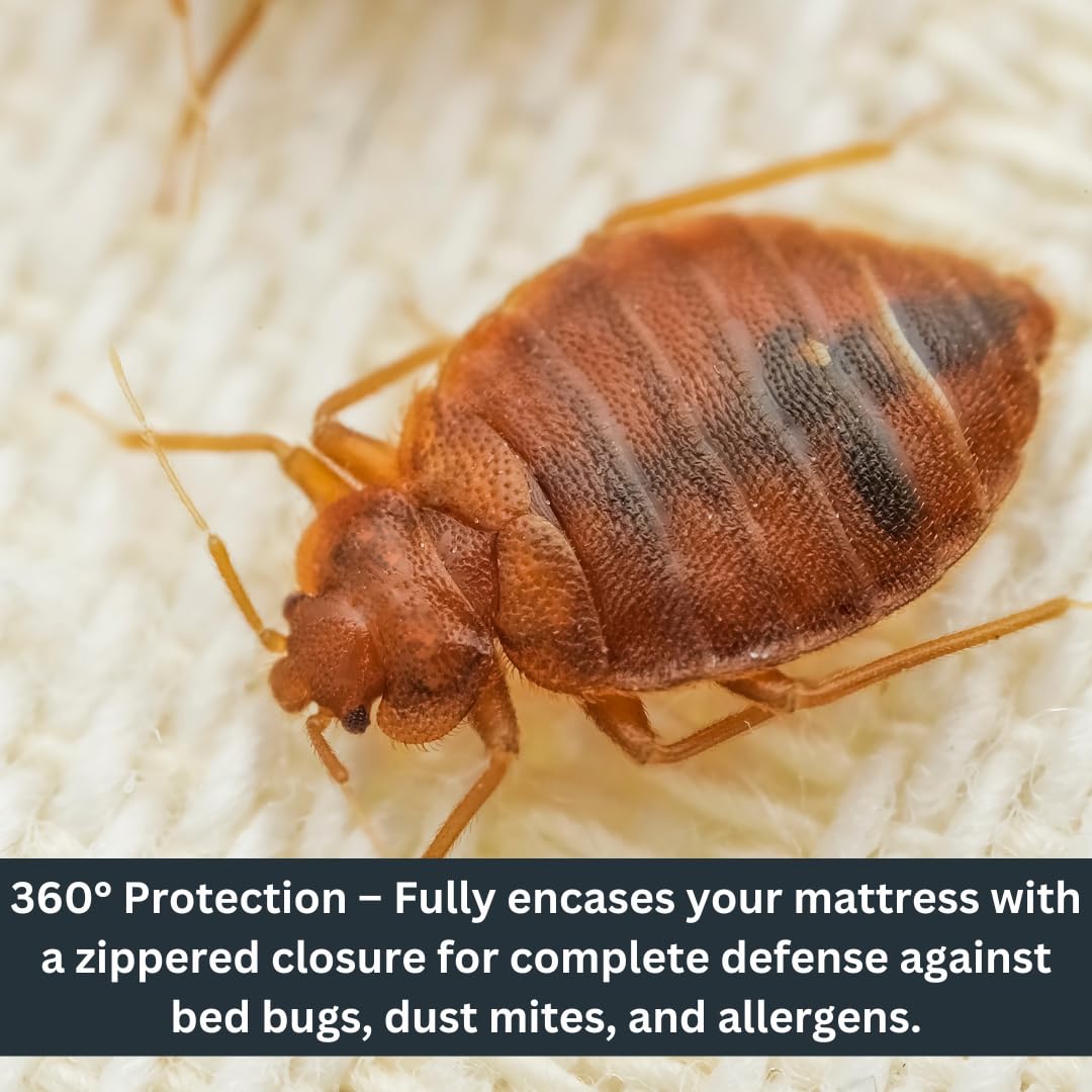 Home Signature - Zippered Waterproof Mattress Protector – 6-Sided Encasement, Bed Bug & Dust Mite Proof, 12” Deep Cover for Full Protection (Queen)