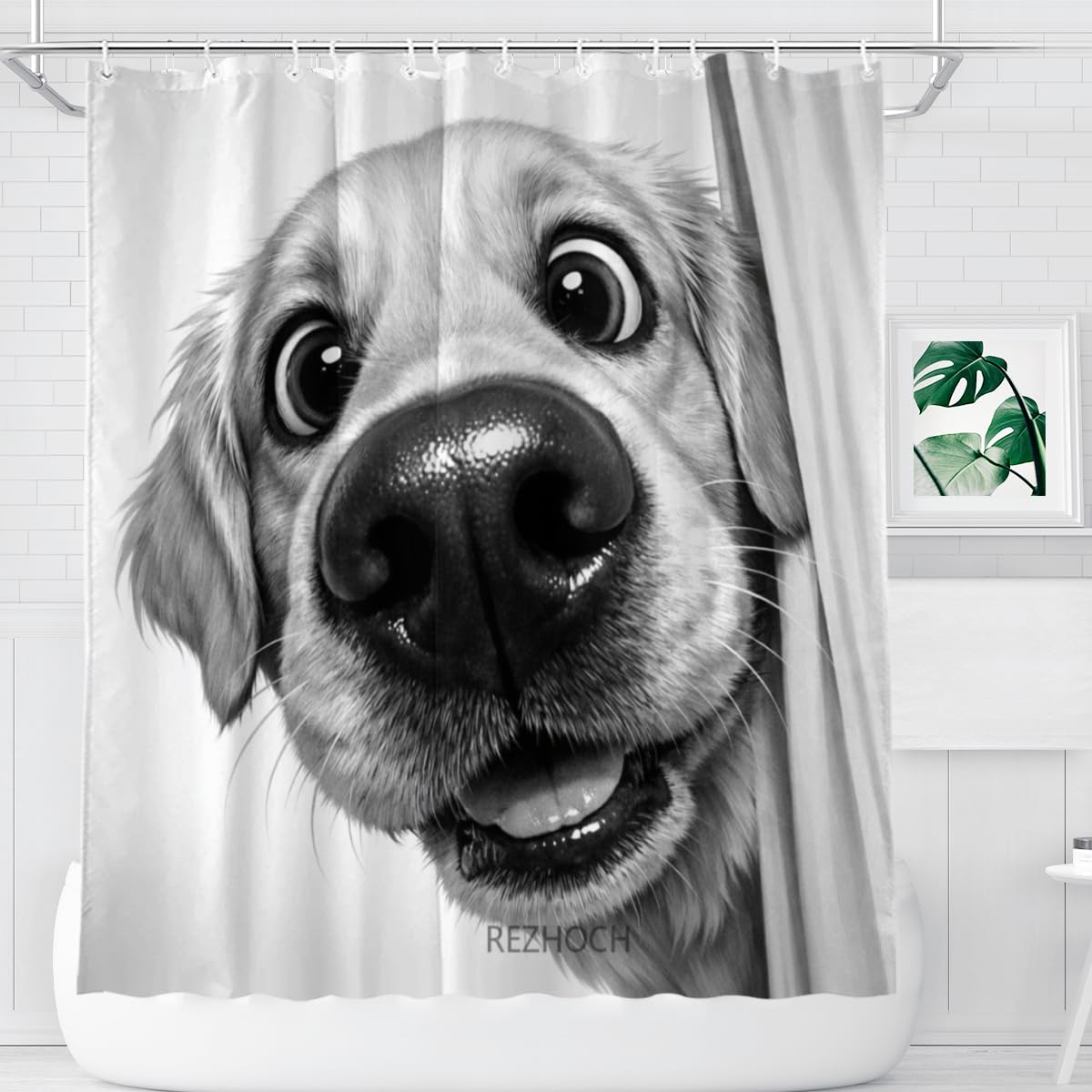 REZHOCH Funny Black and White Golden Retriever Shower Curtain 72x72Inch,Cute Animal Bathroom Decor,Modern Minimalist Grey Art Waterproof Fabric Kids Adults Bath Curtain Set with Hooks
