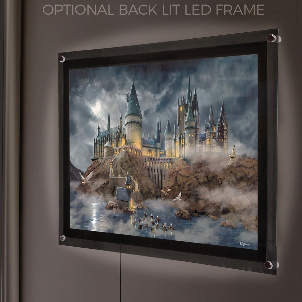 MIGHTYPRINT Harry Potter – Hogwarts Castle – Durable 24” x 17 Wall Art – NOT Made of Paper – Officially Licensed Collectible MP24170997