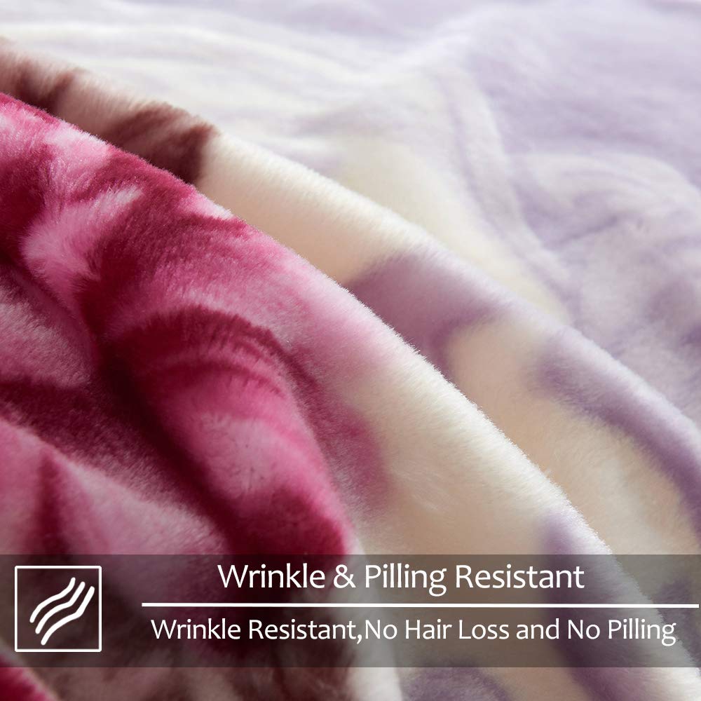 JYK Queen Size Korean Mink Blanket, 5 LB Fleece Bed Blanket - 2 Ply Reversible 520GSM Silky Soft Plush Warm Blanket for Autumn Winter, A&B Pattern Printed, (Queen 75"x87", Light Purple Peony/Peony)