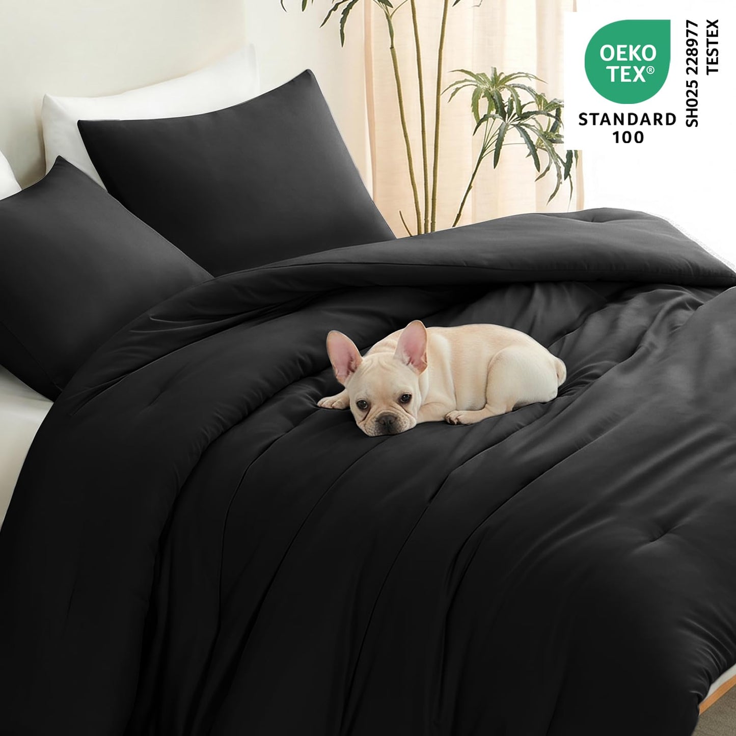 CozyLux Queen Comforter Set Black, 3 Pieces Lightweight Comforters Queen Size Quilted Bedding Sets, All Season Breathable Solid Down Alternative Comforter with 2 Pillowcases, Bed Set Gift for Home