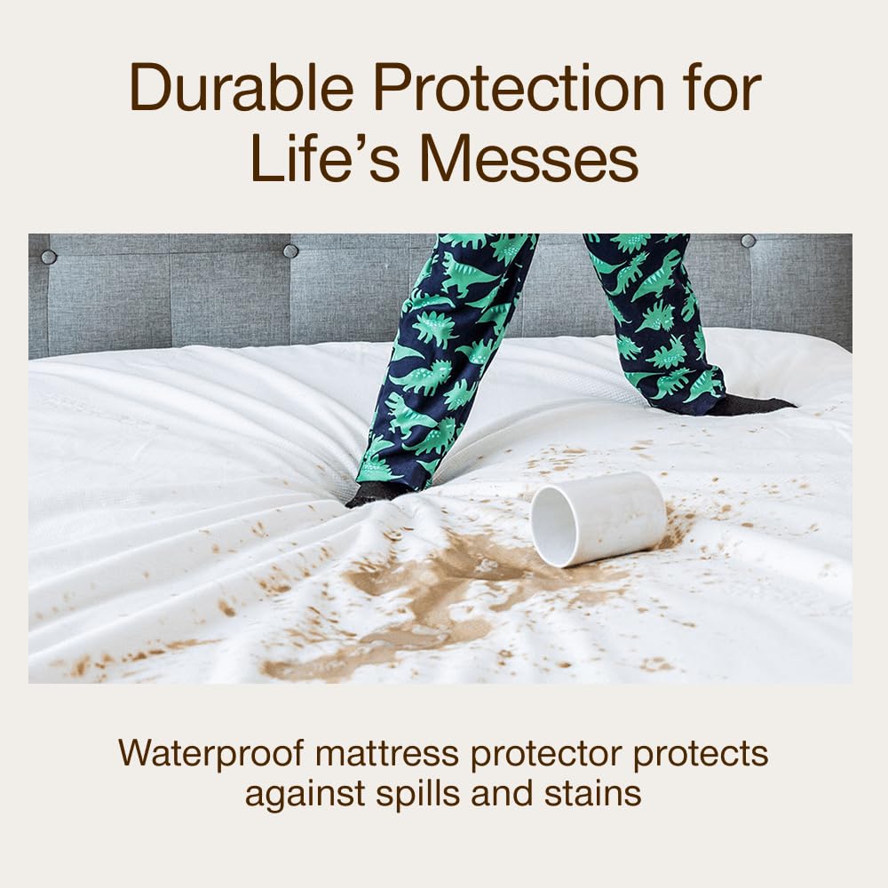 Coop Home Goods Ultra Tech Waterproof Mattress Protector Queen, Smooth Top Mattress Pad, Waterproof Mattress Cover, 18" Deep, Machine Washable Mattress Topper, Noiseless Comfort (60x80)