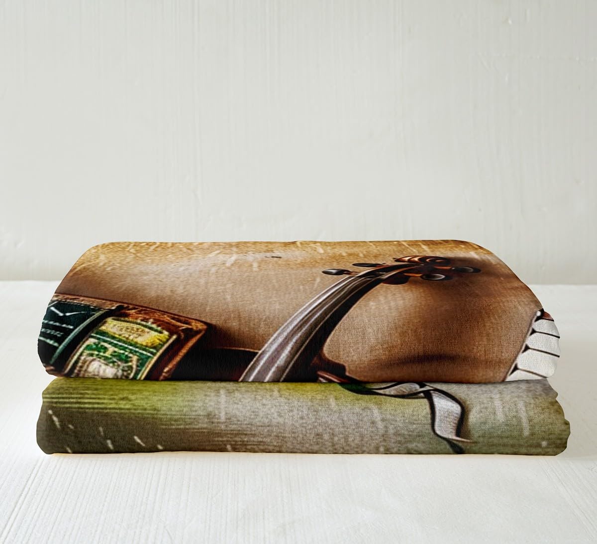 Feelyou Cello Accordion Fleece Sherpa Blanket for Bed Couch Chair - Ultra Soft Classical Musical Theme Throw With Guitar - Fuzzy Comfort Room Decor Reversible 50"x60"