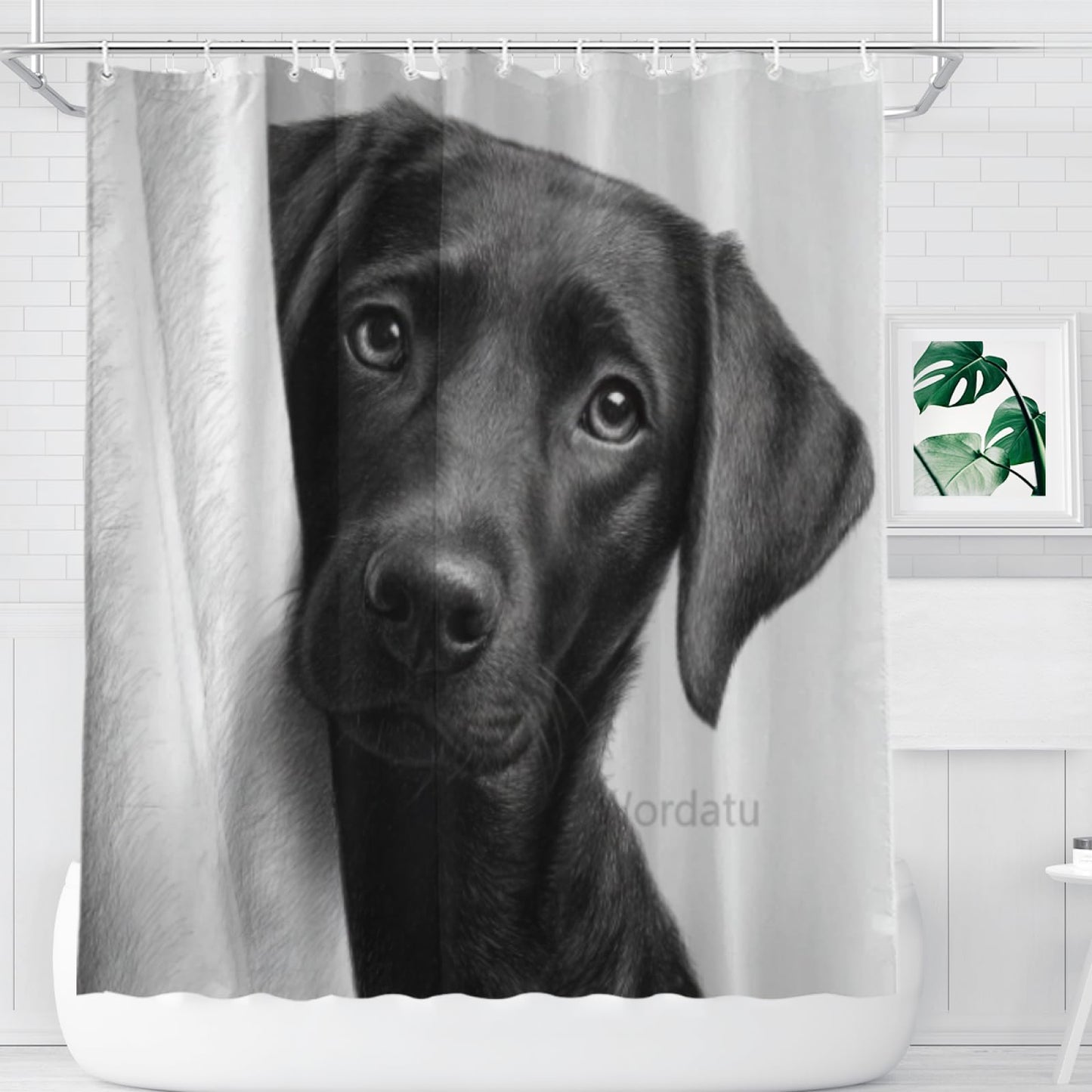 Wordatu Black Labrador Dog Shower Curtain Bathroom Set 72x72 Inches Taking a Bubble Bath Animal Bath Animal Pet Dog Art Home Decor 12 Hooks