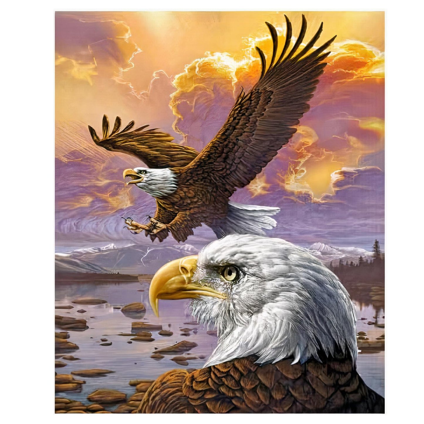 Dawhud Direct Eagle Fleece Throw Blanket, 50" x 60", Flying Eagle Print, Super Soft Plush, Unisex, Iii Eagle Clouds Color
