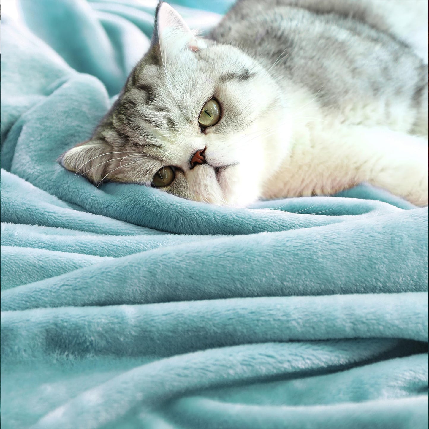 TASTHROW Bluishgreen Throw Blanket 50x60 Inches, Soft Plush Cozy Fleece Flannel Throw Blanket, Lightweight Warm Throws for Bed, Couch, Bedroom and Living Room, All Seasons