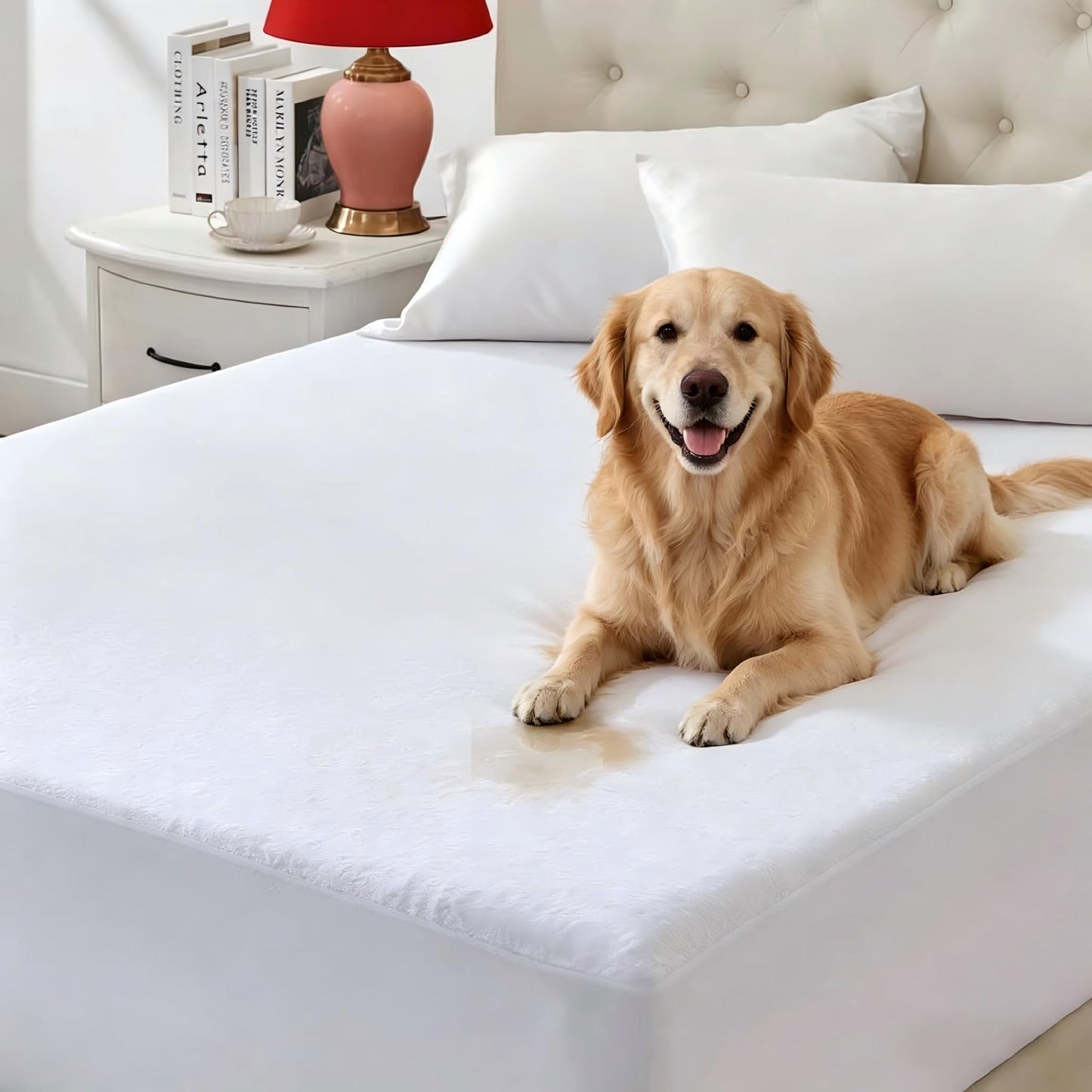 Queen Zippered Mattress Protector,Absorbent Six-Sided Mattress Cover Queen Size Bed, 12-15 Inch Noiseless Washable Mattress Encasement, Sleep Defense System, Hypoallergenic & Soft