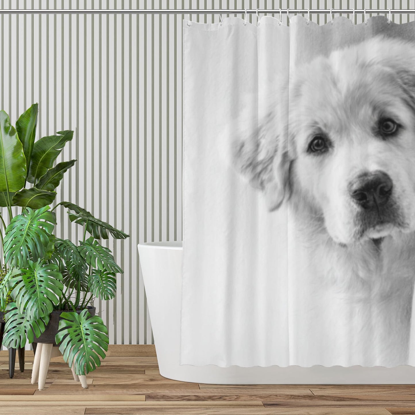 Wordatu Great Pyrenees Shower Curtain Bathroom Set 72x72 Inches are You Pooping Bath Animal Bath Animal Pet Dog Art Home Decor 12 Hooks