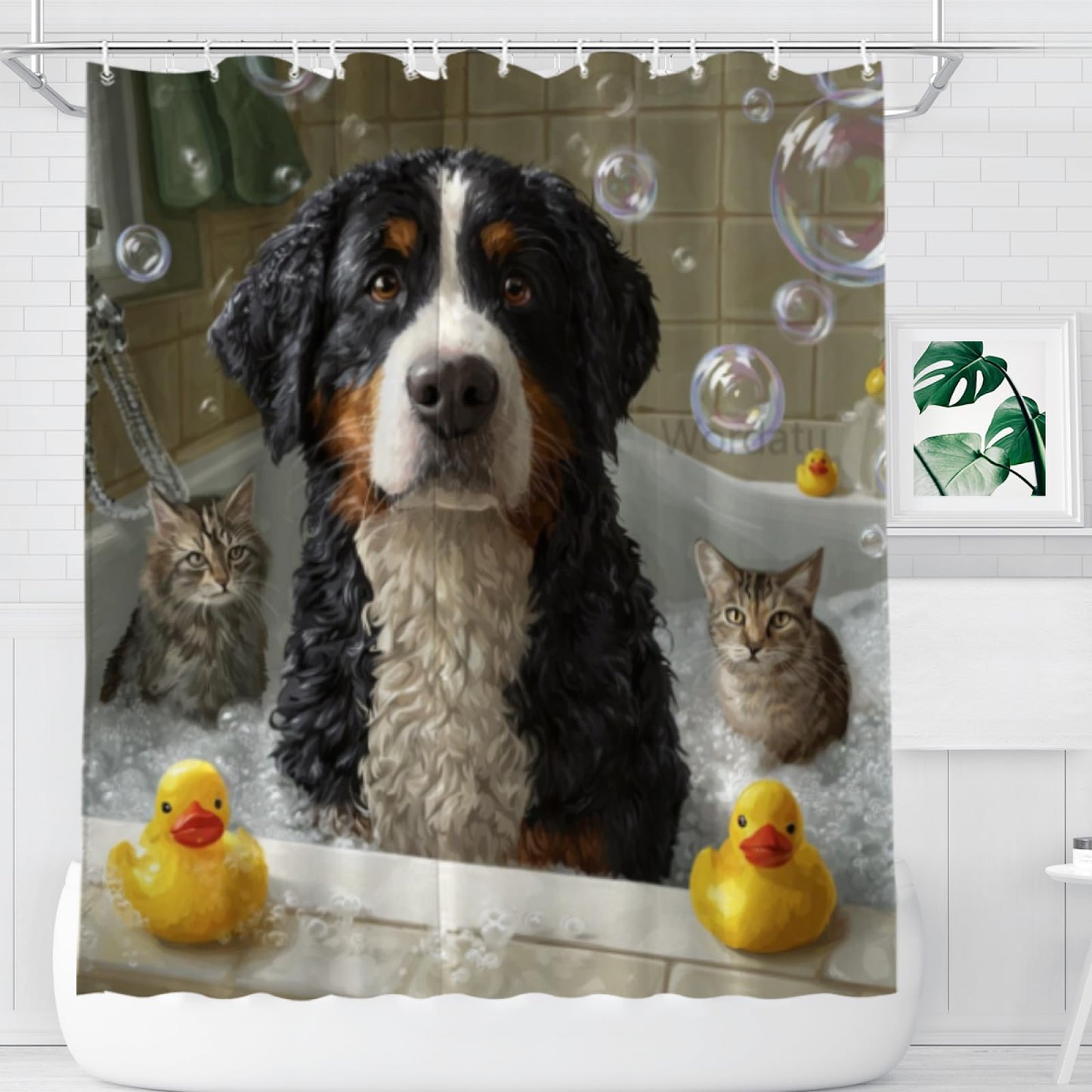 Wordatu Bernese Mountain Shower Curtain Bathroom Set 72X72 Inches Funny Cat Lovely Animals in Bathtub for Boys Bath Farmhouse Art Home Decor Fabric 12 Hooks