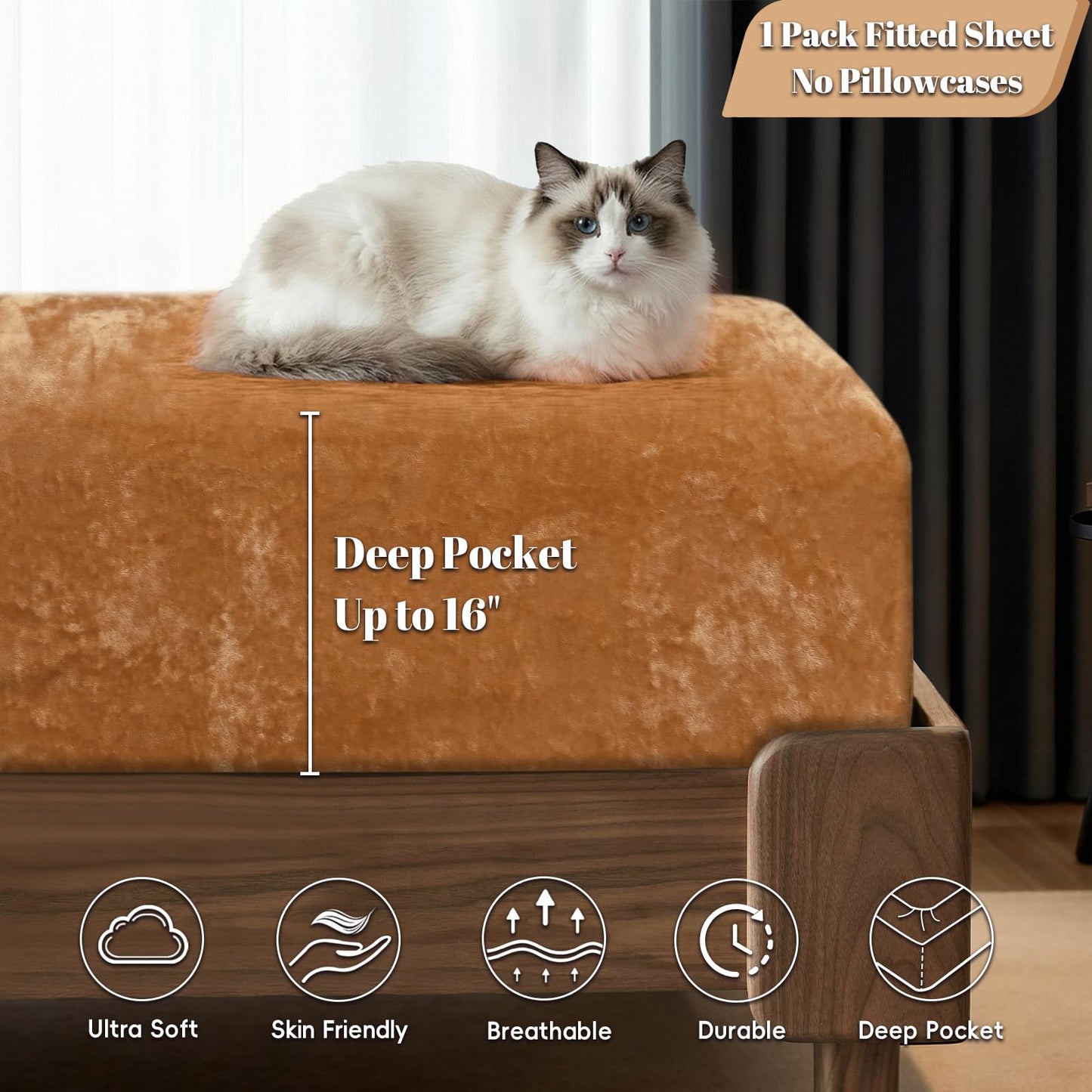 PHF Truly Velvet Fitted Sheet Only Queen Size, Luxury Super Soft Cozy Fuzzy Fleece Bottom Sheet, Deep Pocket Up to 16",Strenghth Elastic Band,Suitable for Fall Winter Spring,No Pillowcases,Brown Sugar