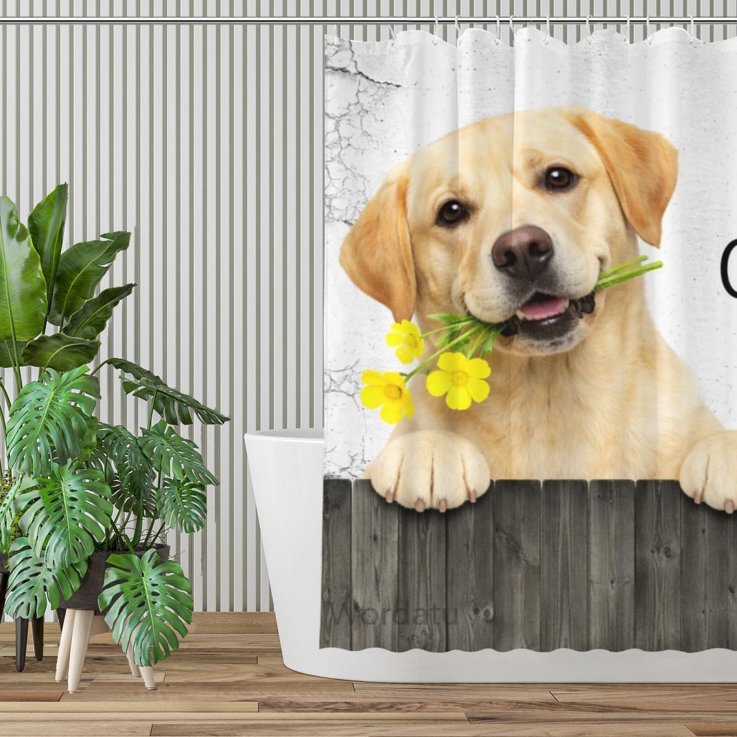 Wordatu Funny Labrador Retriever Dog Shower Curtain, Fence Bathroom Decor, Waterproof Polyester Fabric 72x72 Inch with 12 Hooks(24897)