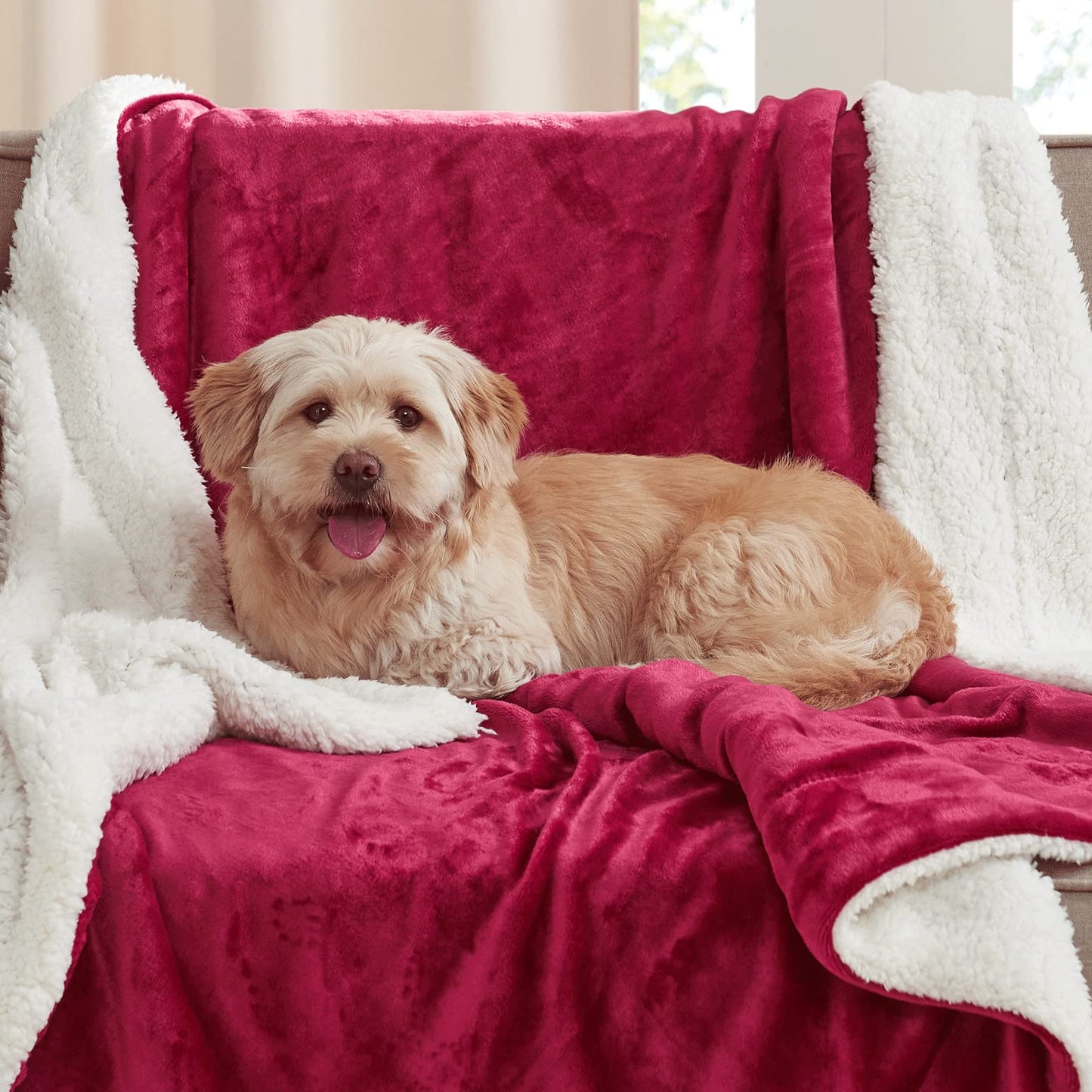 NICETOWN Sherpa Fleece Bed Winter Blanket Super Soft Lightweight Couch Throw Velvet Reversible Luxurious Blanket for Home, Couch, Sofa, Bed,60 inches x 80 inches, Burgundy Red