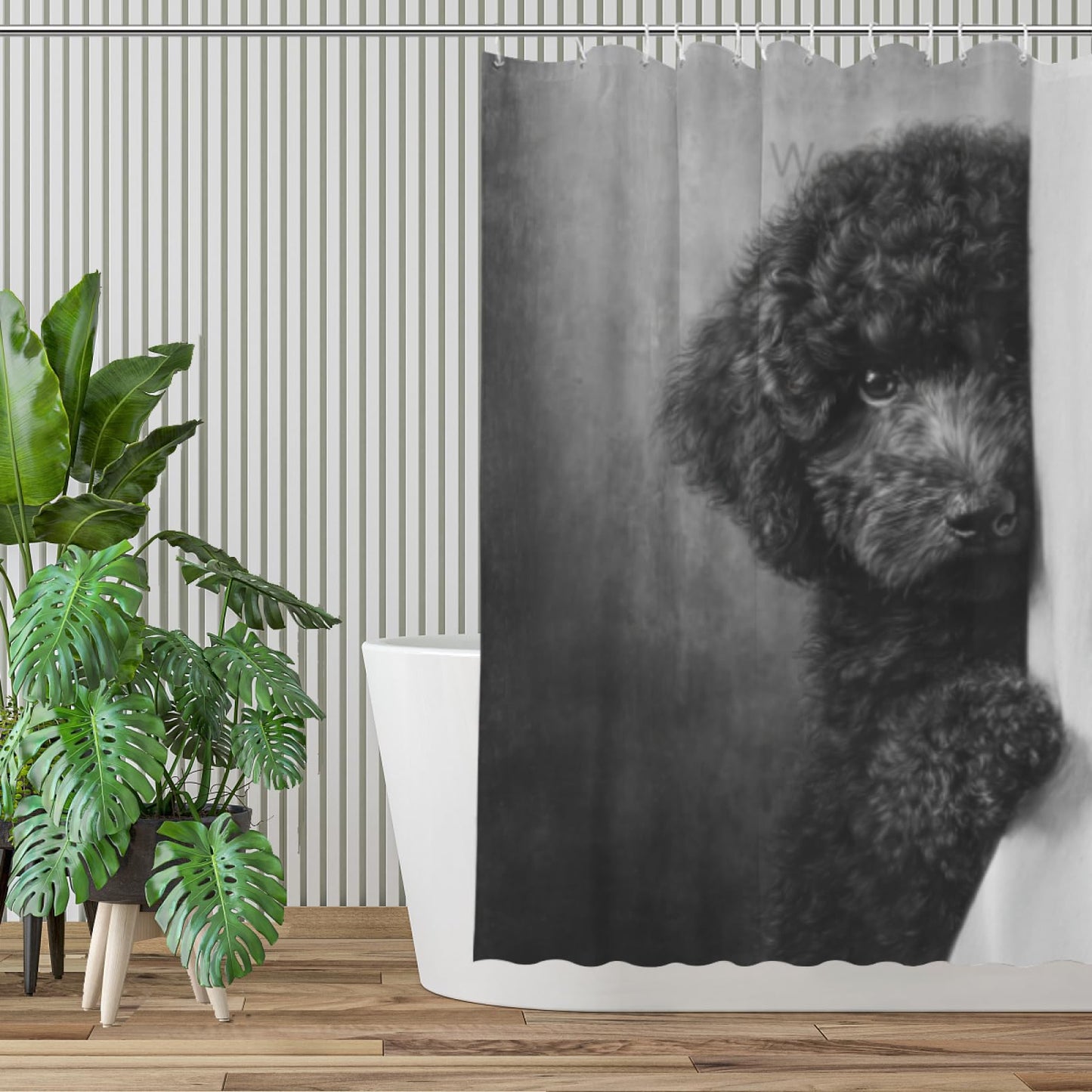 Wordatu Poodle Shower Curtain Funny are You Pooping Black and White Bath Curtain Bathroom Decor Animal Toilet Decor Water Resistant Fabric with 12 Hooks 72x72