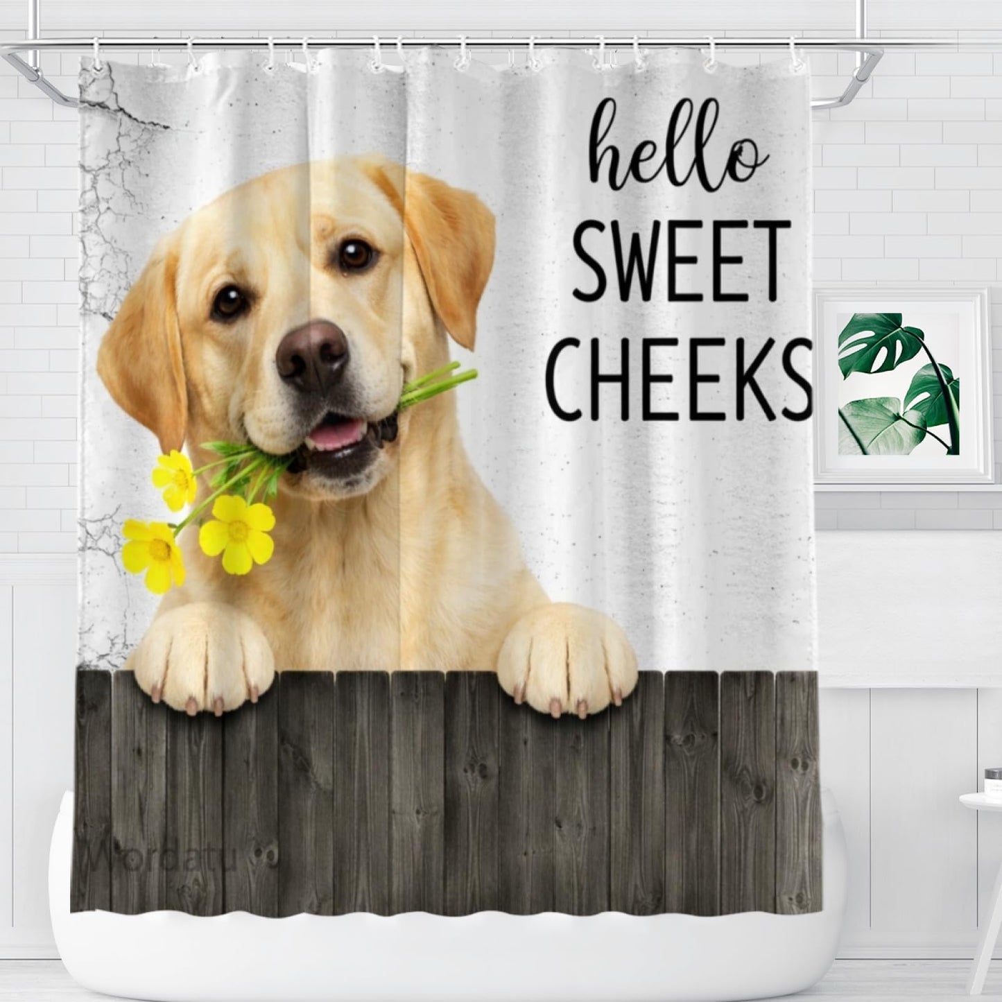 Wordatu Funny Labrador Retriever Dog Shower Curtain, Fence Bathroom Decor, Waterproof Polyester Fabric 72x72 Inch with 12 Hooks(24897)