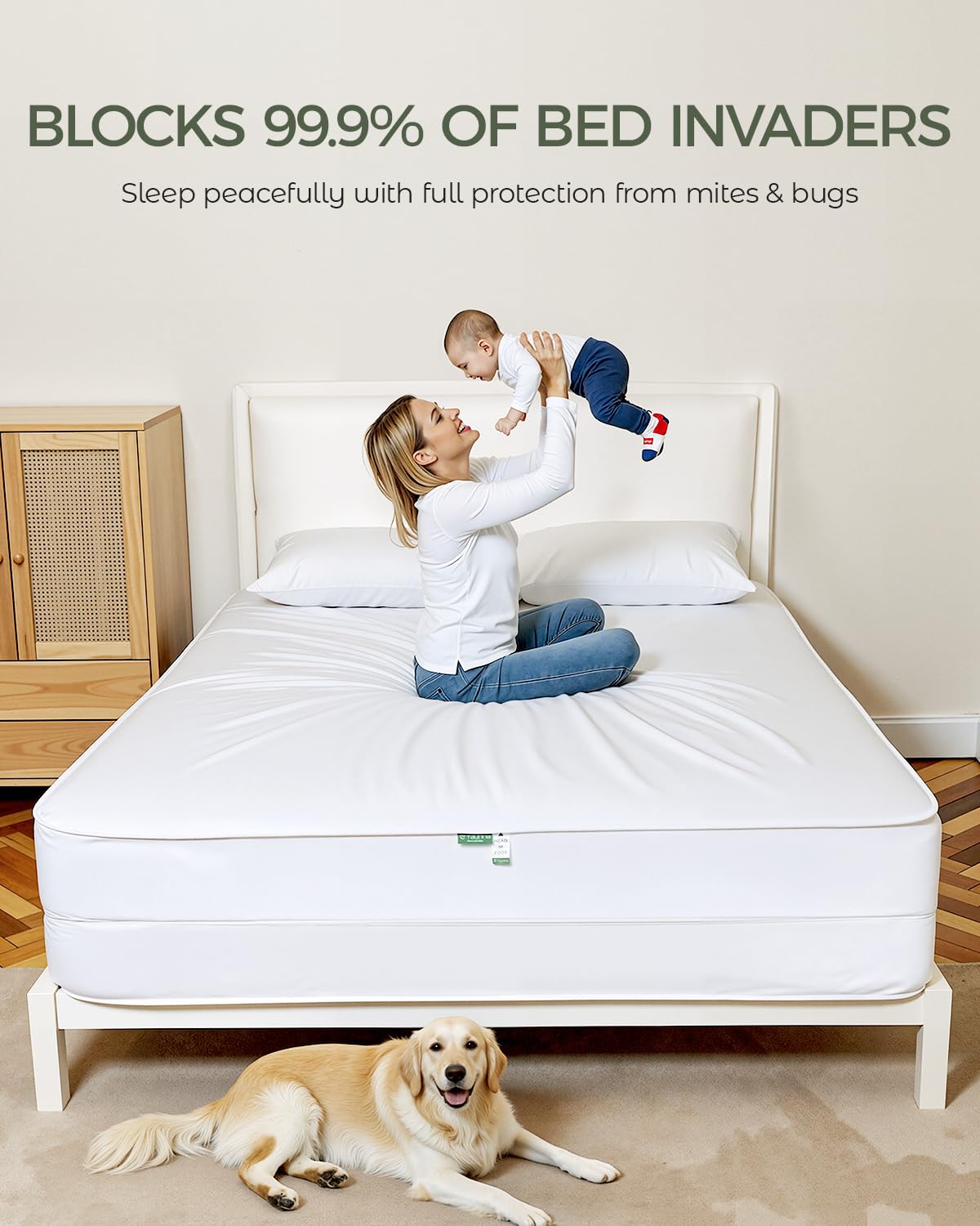 FAUNNA 100% Cotton Mattress Encasement, Zippered Bed Bug and Dust Mite Proof Mattress Protector, Hypoallergenic Antibacterial Protection, Noiseless Zipper Six-Sided Mattress Cover (Queen 12" Deep)