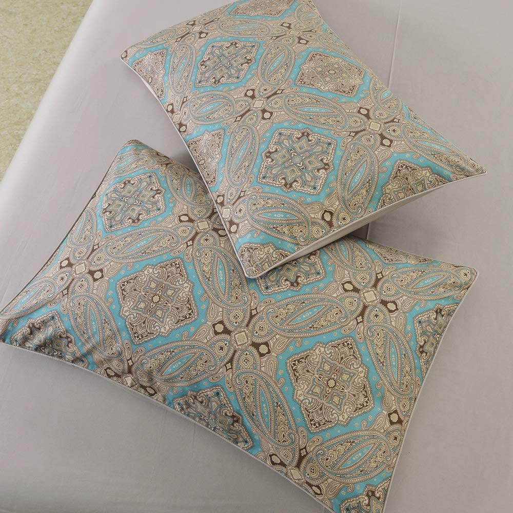 Brandream Boho Paisley Print Luxury Duvet Quilt Cover and Shams 3pc Bedding Set Bohemian Damask Medallion 800TC Egyptian Cotton Sateen - Queen Size, Taupe
