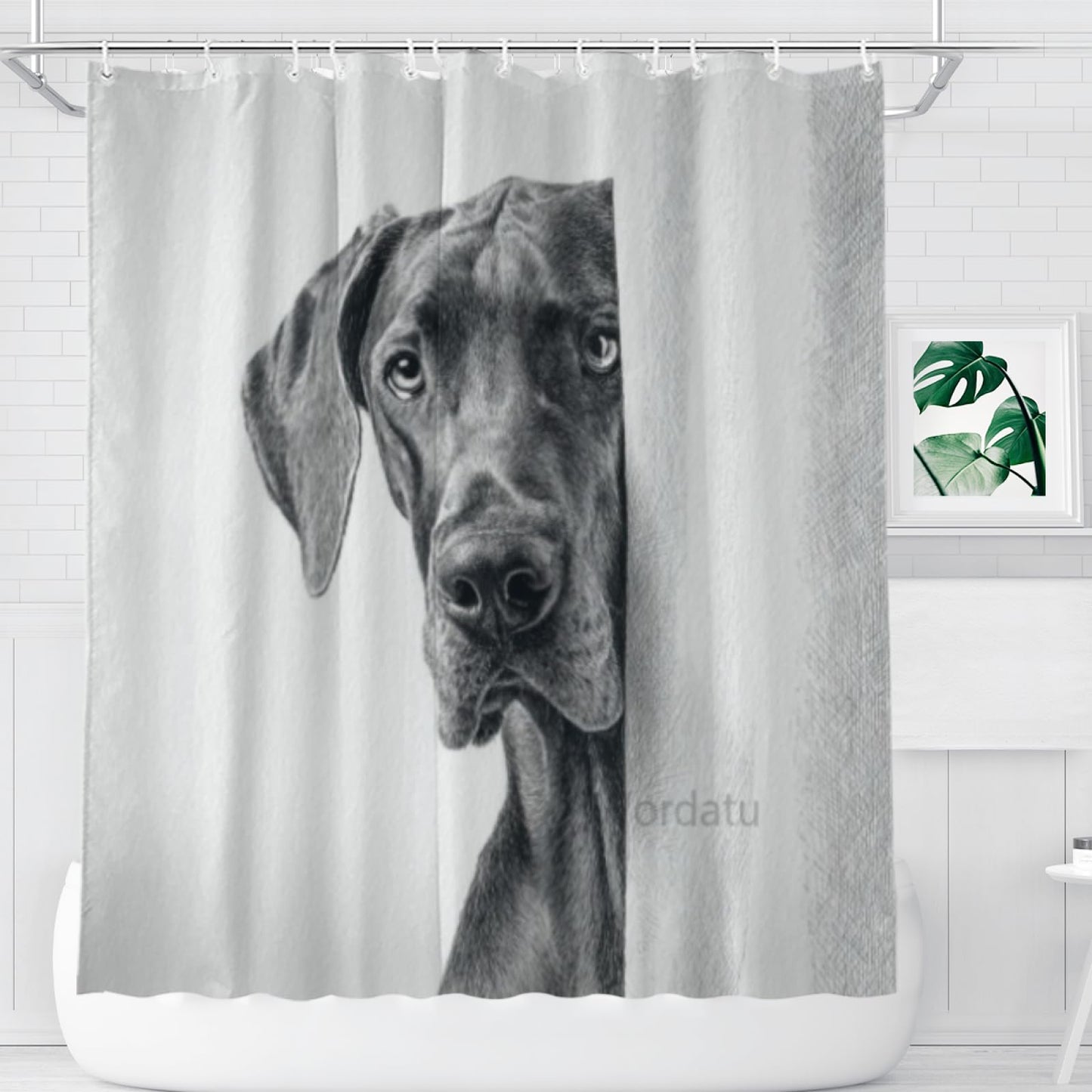 Wordatu Great Dane Shower Curtain Bathroom Set 72x72 Inches Taking a Bubble Bath Animal Bath Animal Pet Dog Art Home Decor 12 Hooks