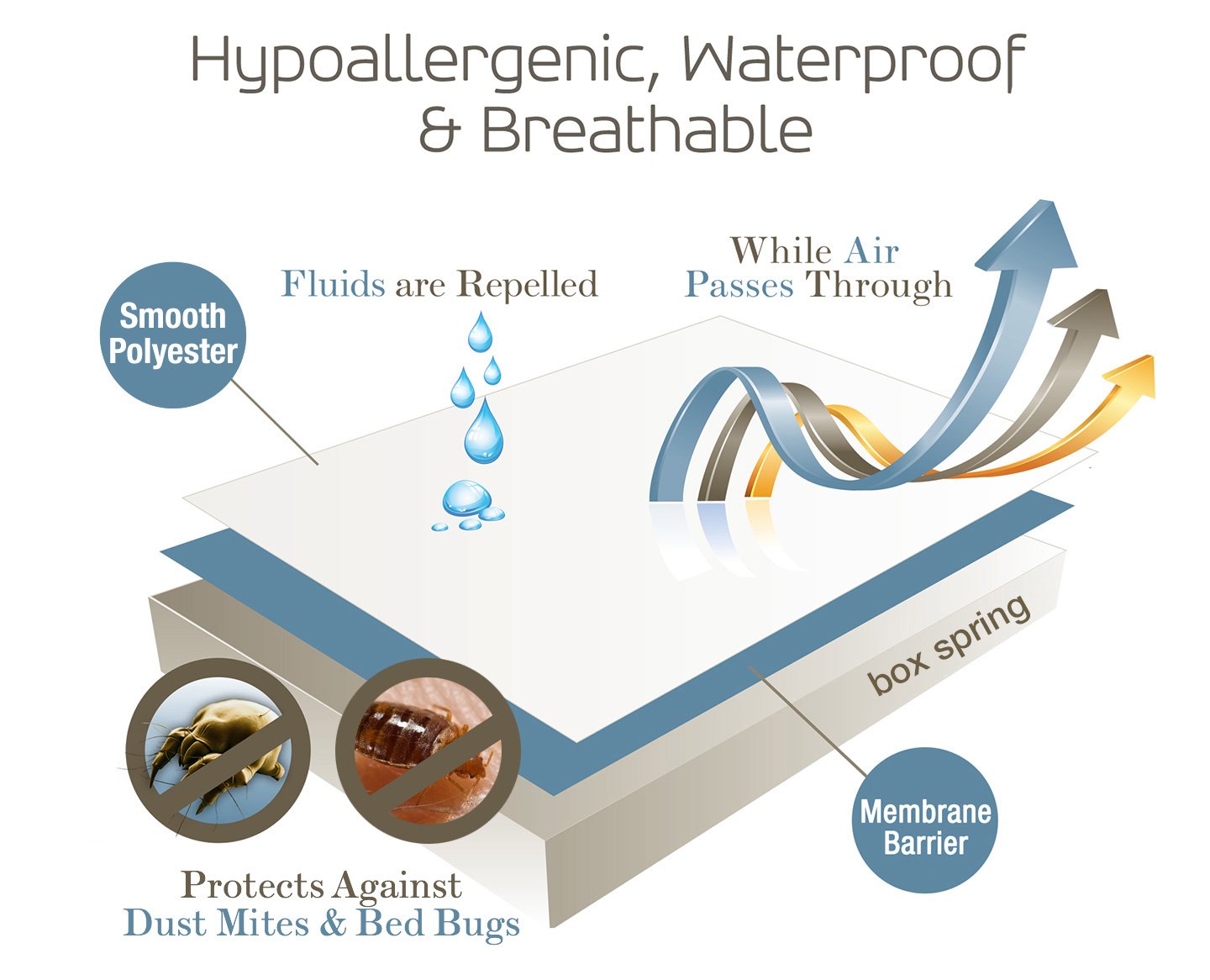 SafeRest Premium 9" Thick Box Spring Encasement - Waterproof - Breathable, Noiseless and Vinyl Free - Fits Up to 9" - TwinXL